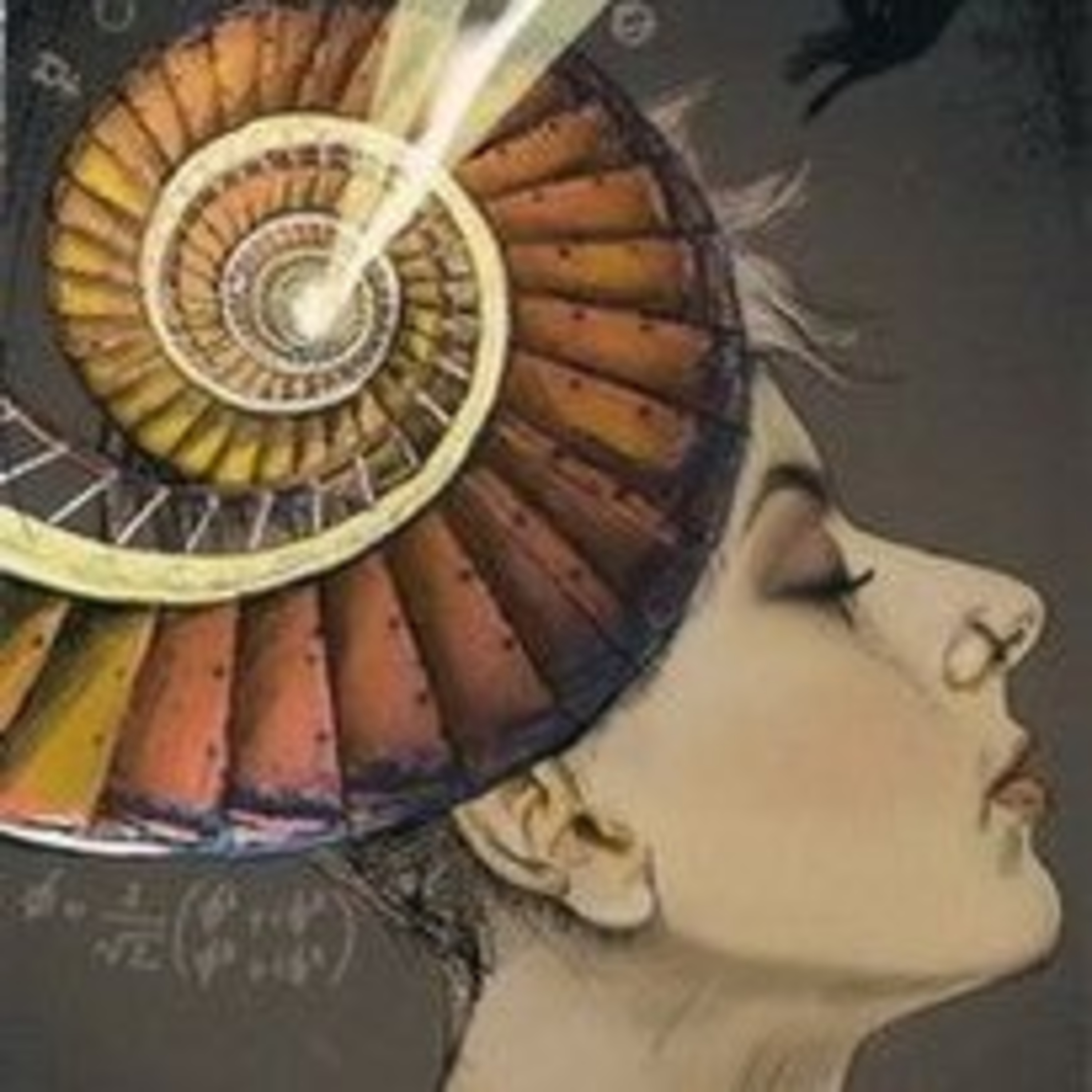 Ninive Tarot E A Carta Do Dia