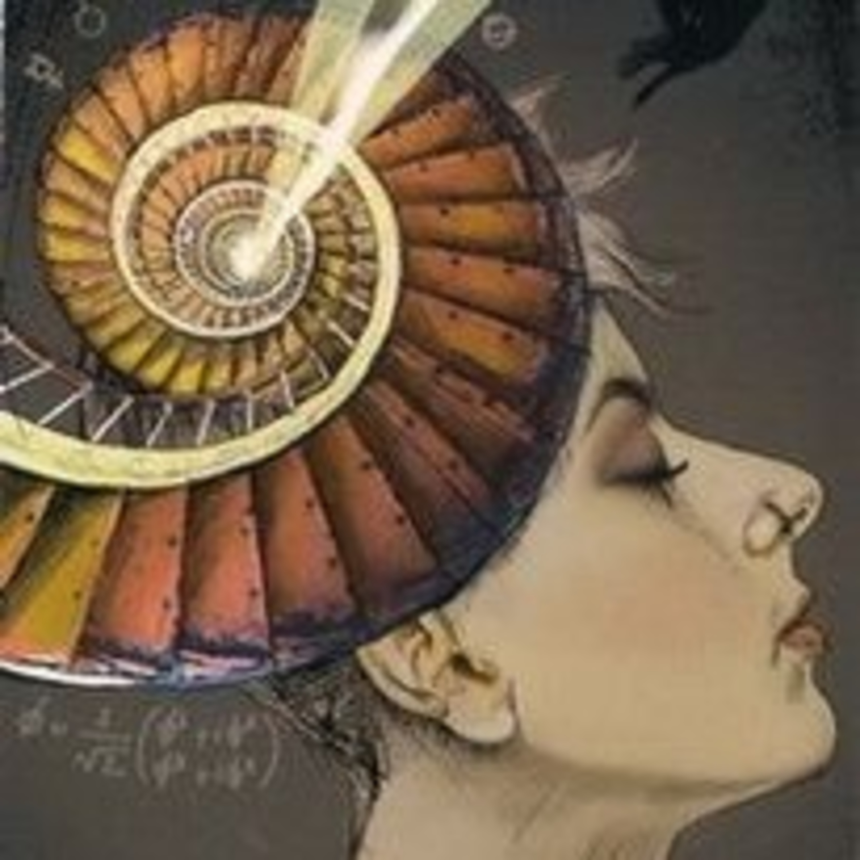 Ninive Tarot E A Carta Do Dia
