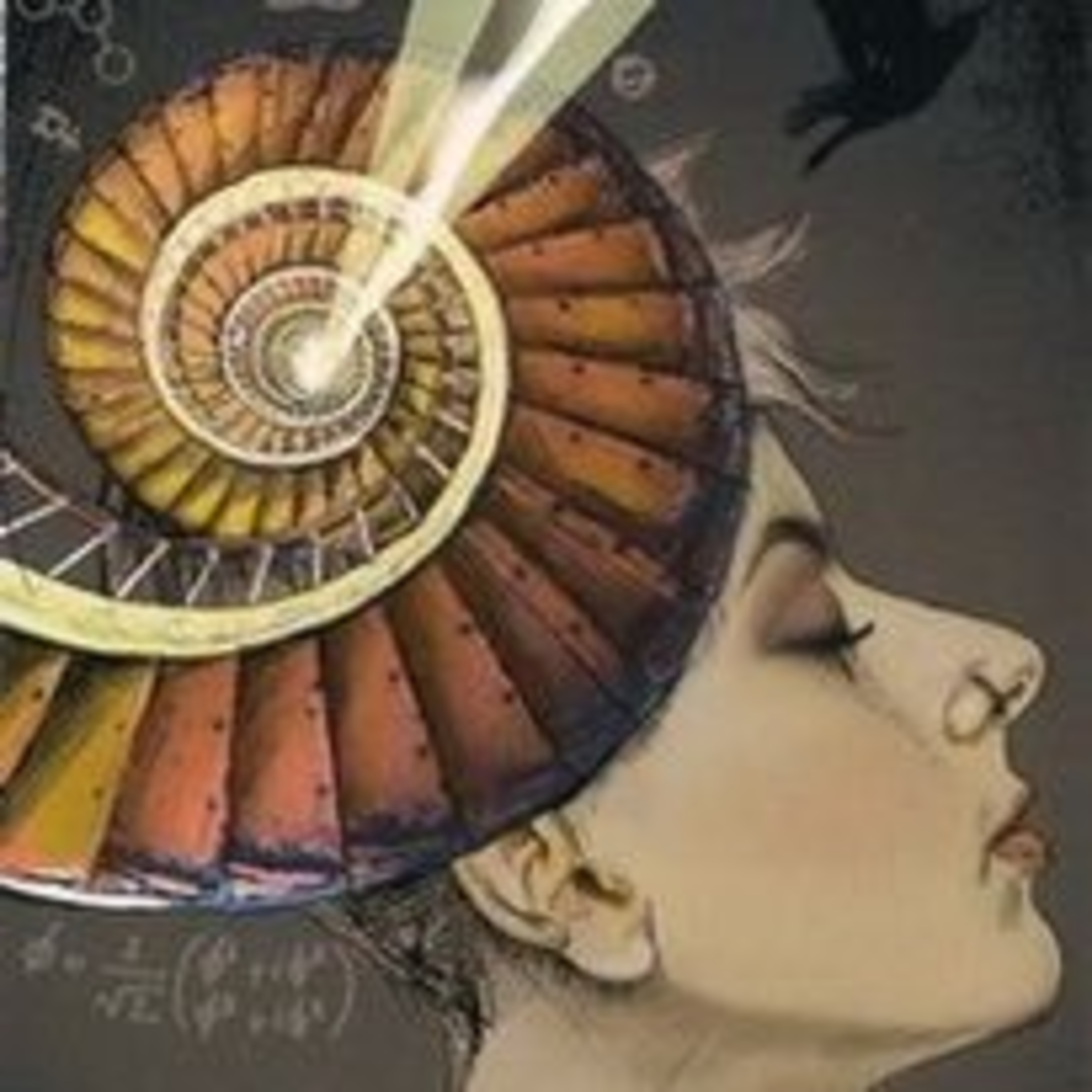 Ninive Tarot E A Carta Do Dia