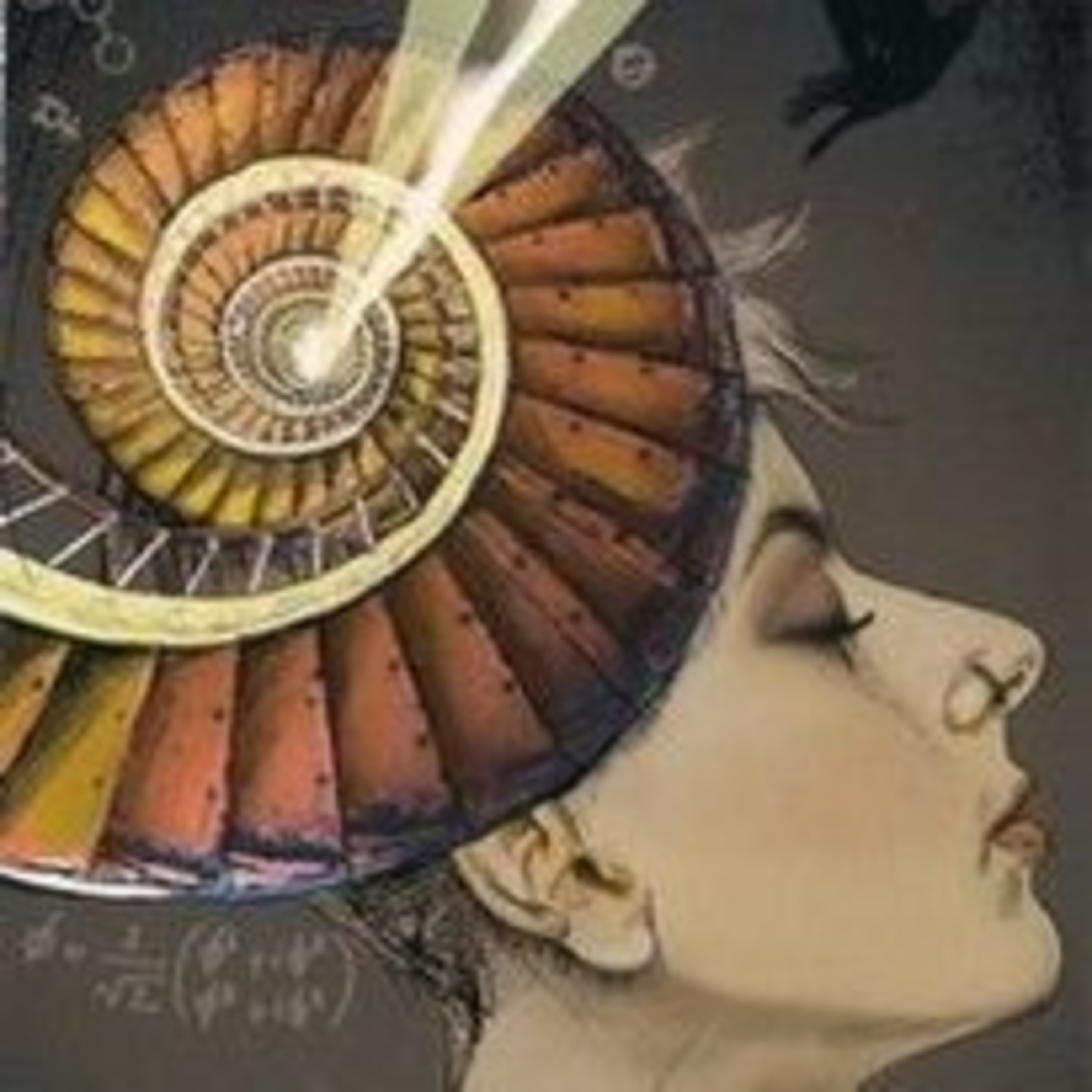 Ninive Tarot E A Carta Do Dia