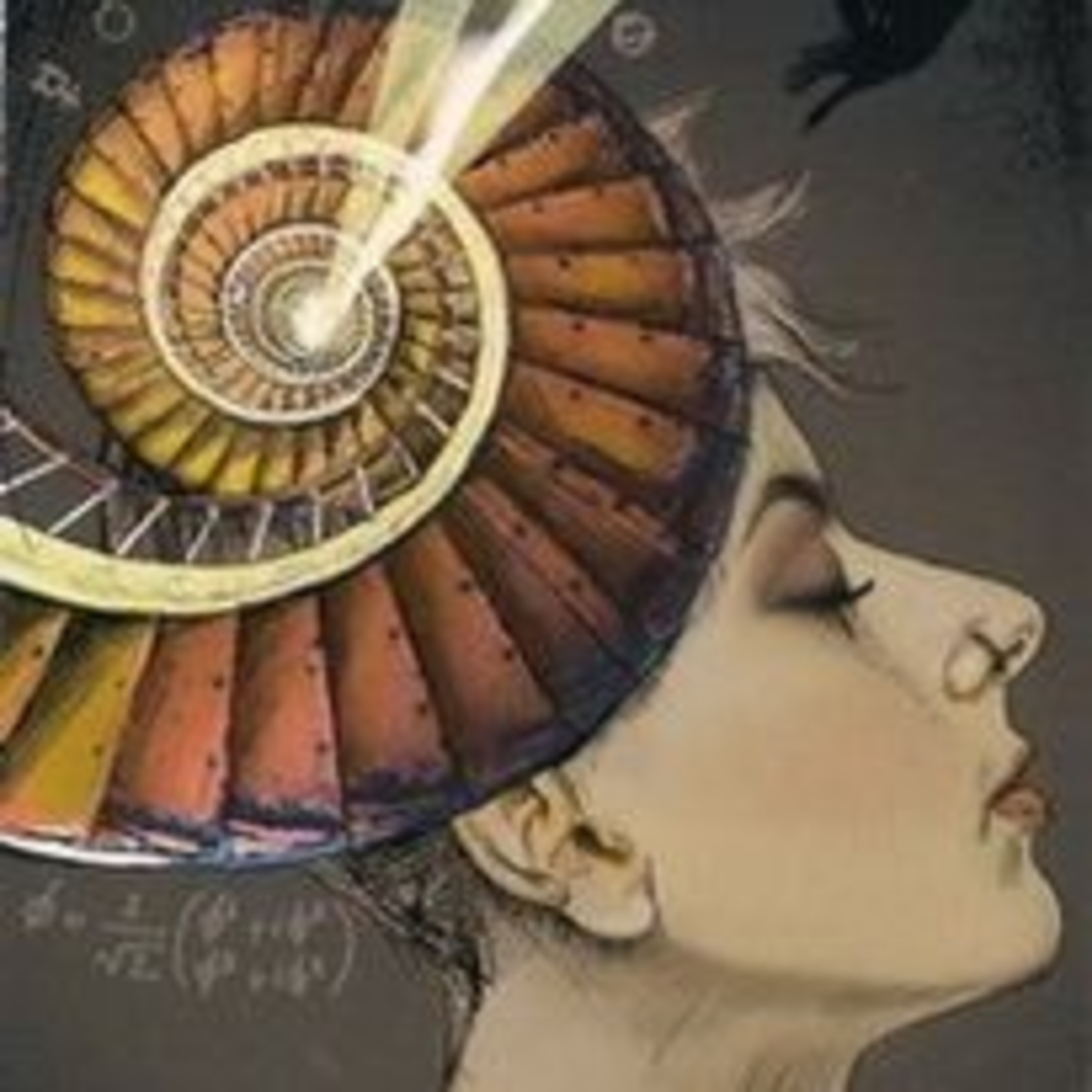 Ninive Tarot E A Carta Do Dia