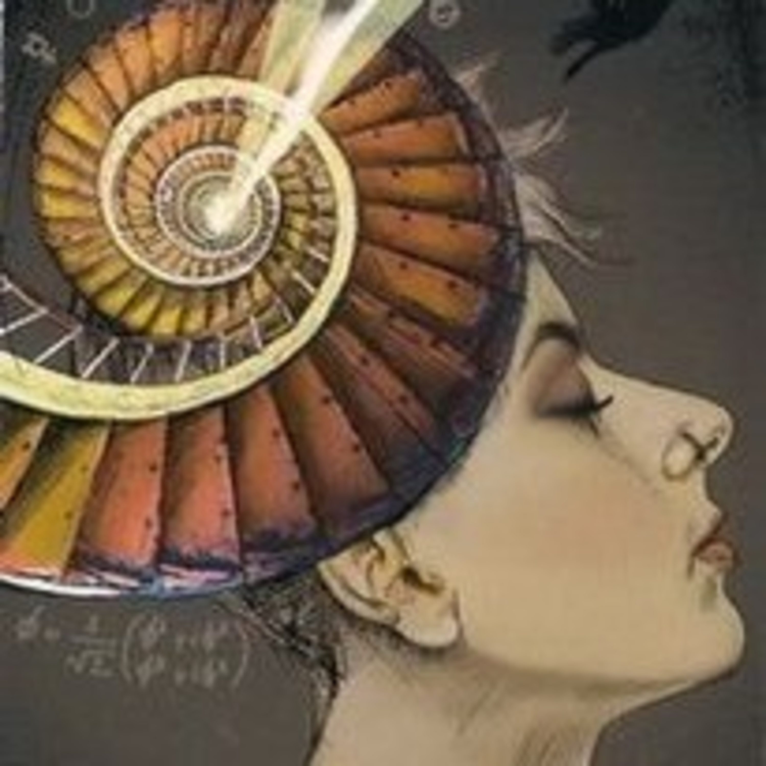 Ninive Tarot E A Carta Do Dia