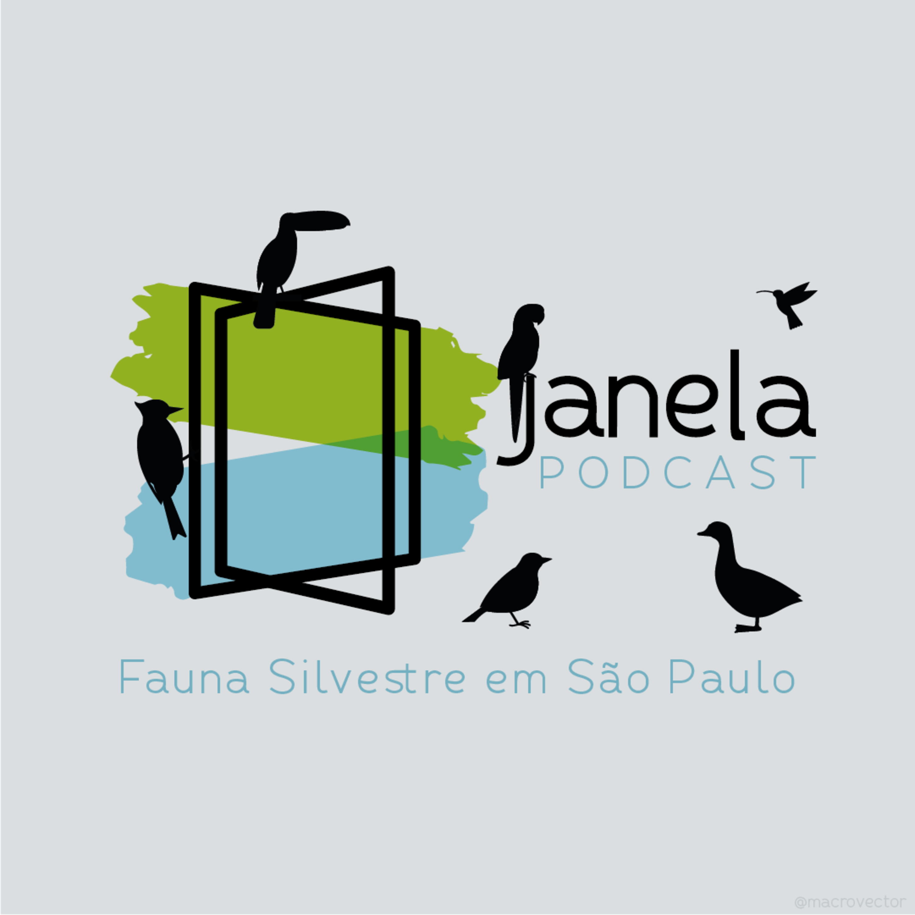 Janela Podcast