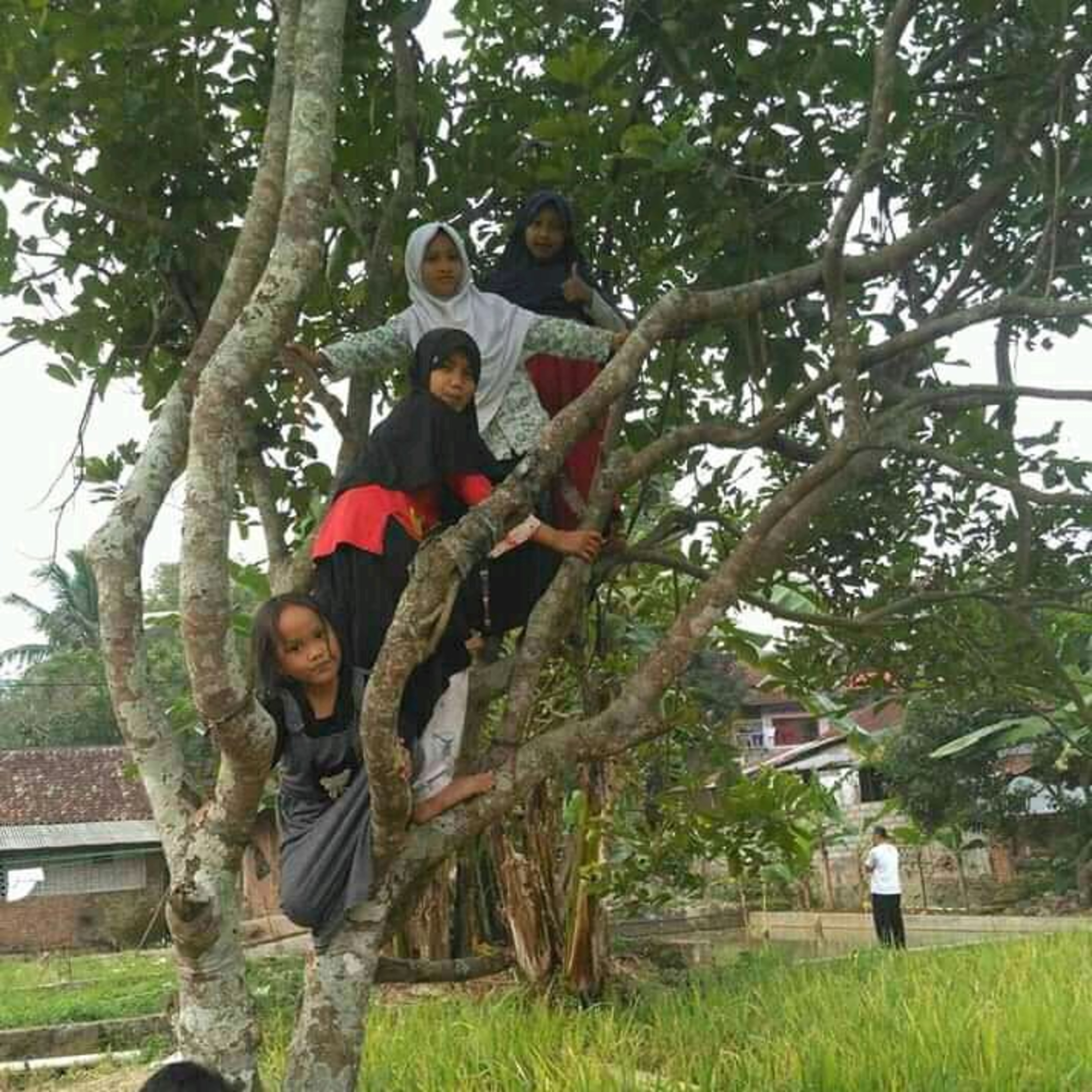 Defa S Hidayat