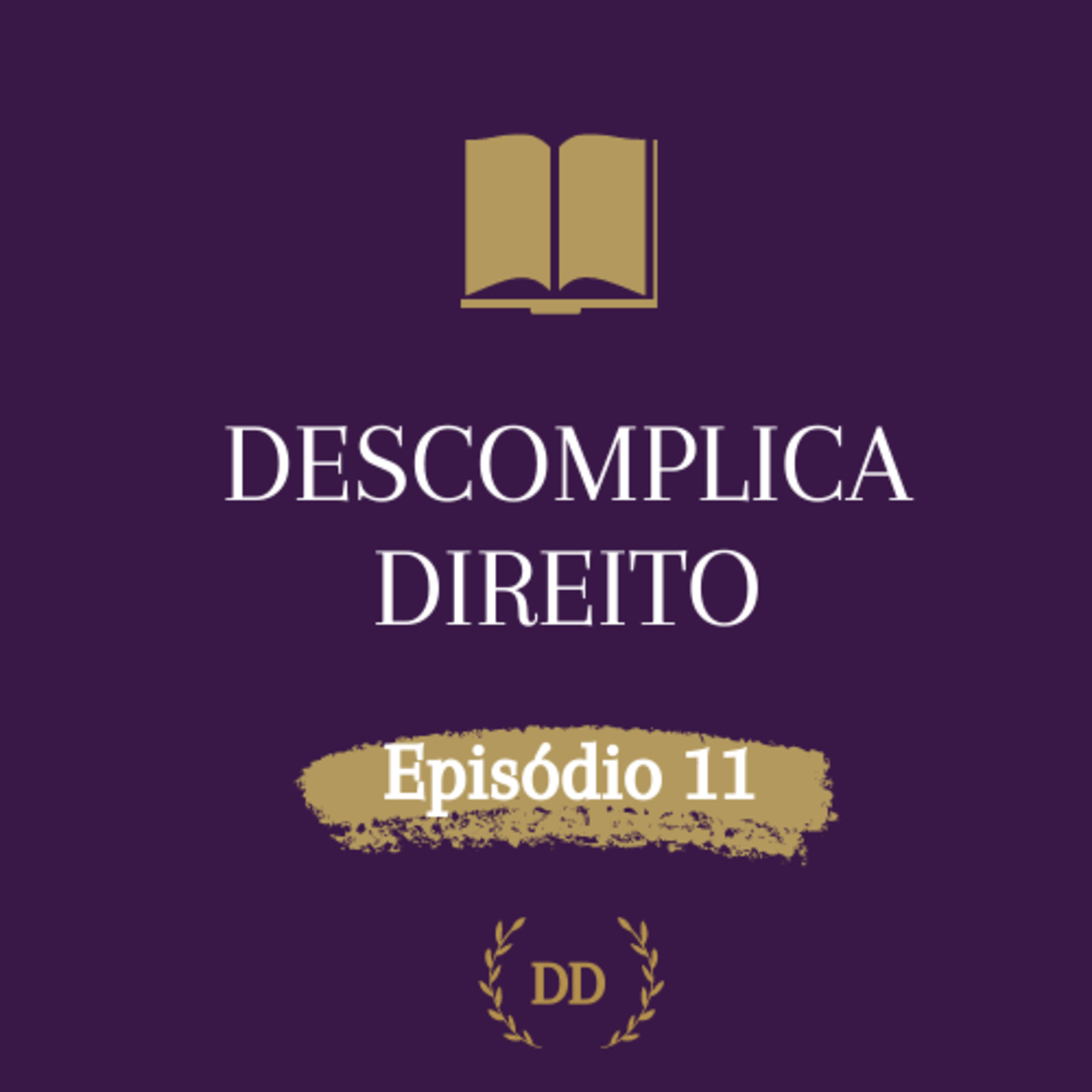 DESCOMPLICA DIREITO