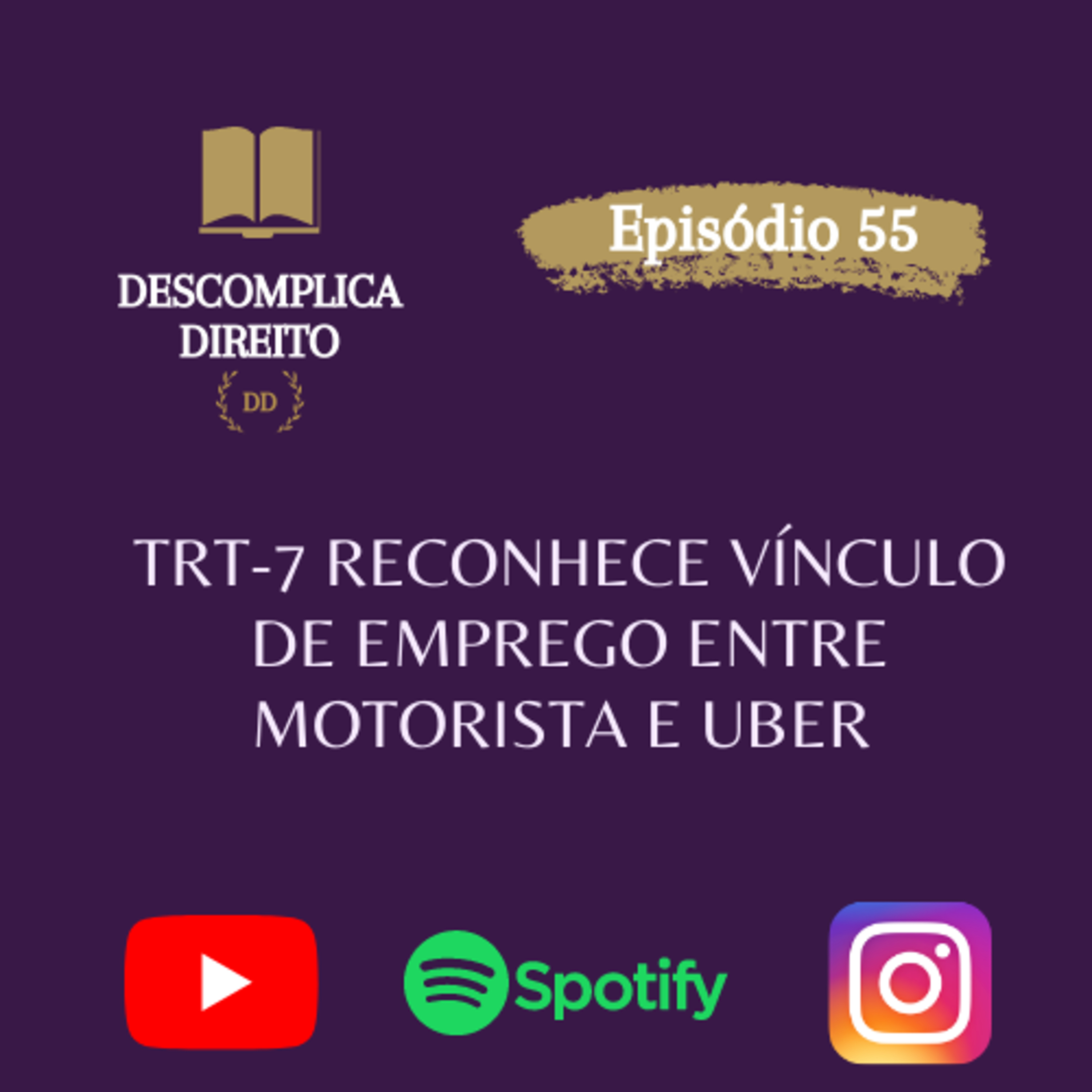 DESCOMPLICA DIREITO