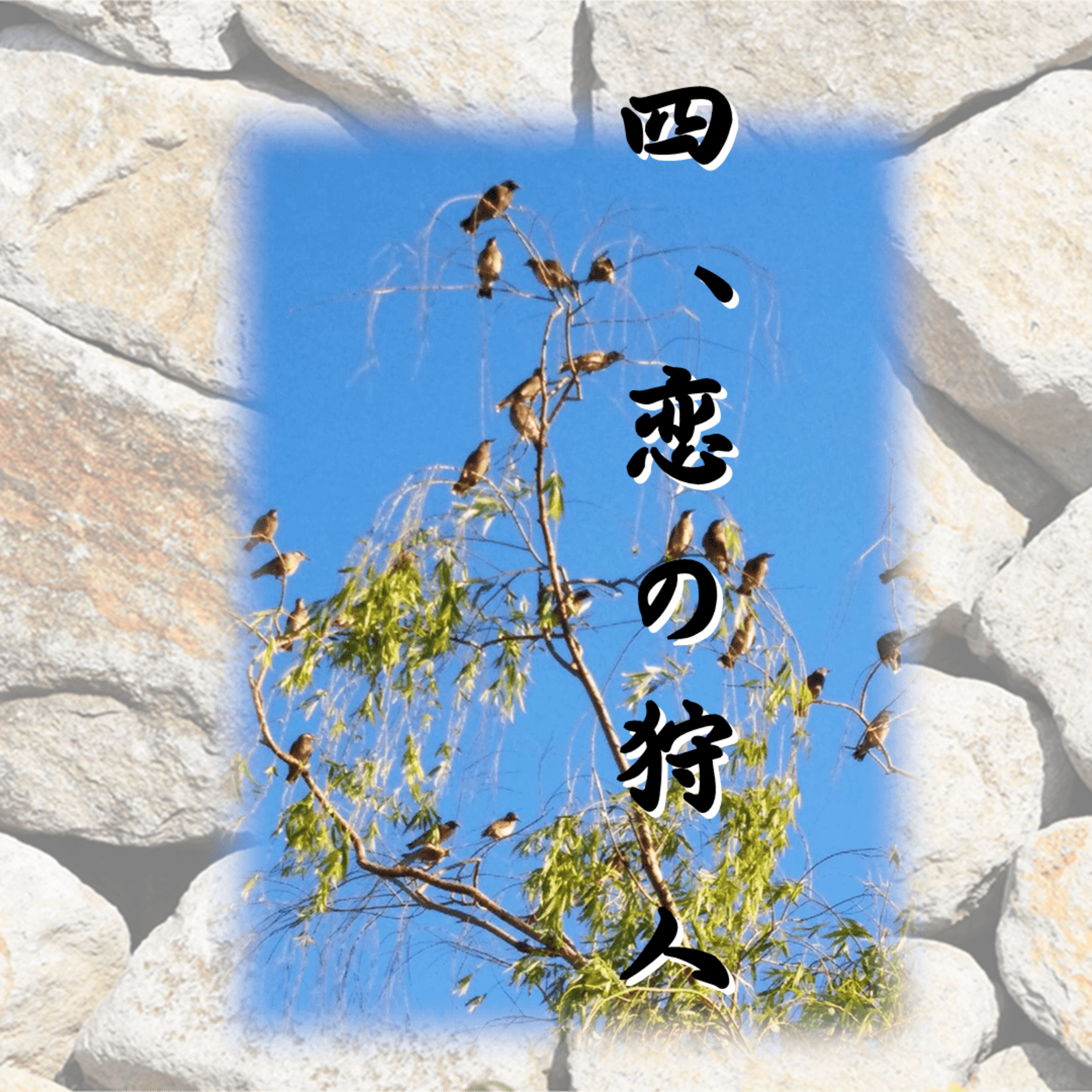 四、恋の狩人「光源氏の一生」作・朗読　岸本久美子 episode artwork