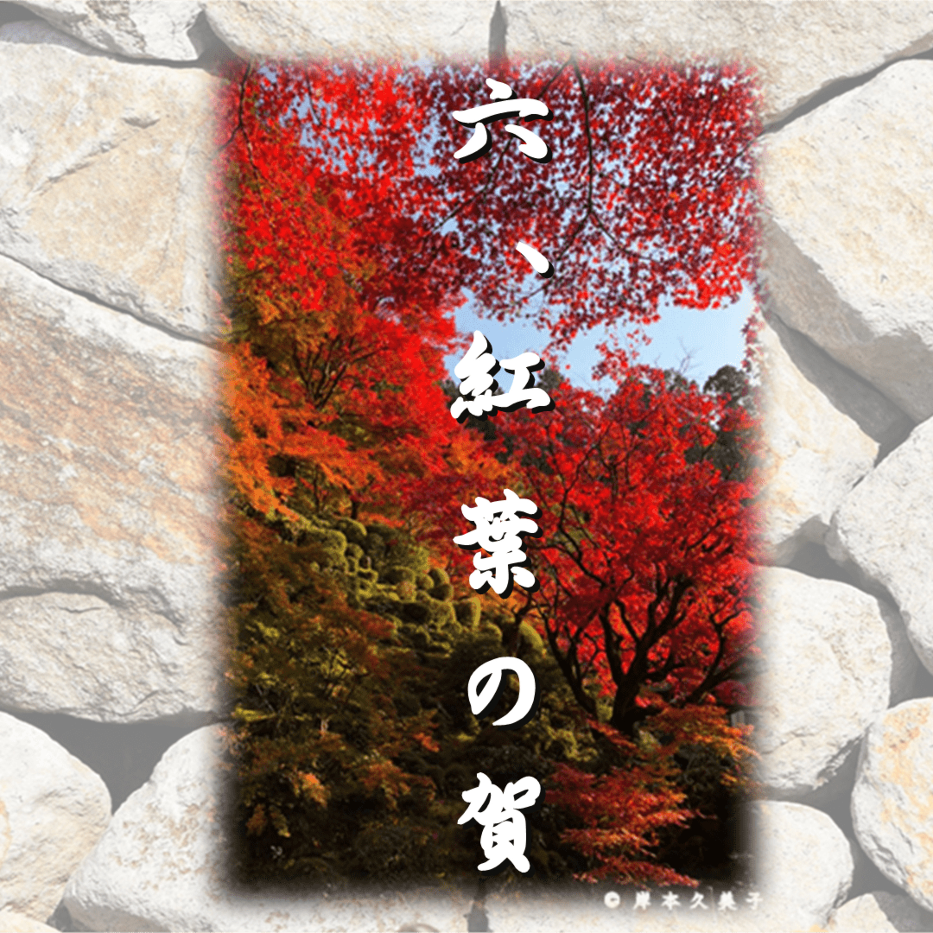 六、紅葉の賀「光源氏の一生」文・朗読　岸本久美子 episode artwork