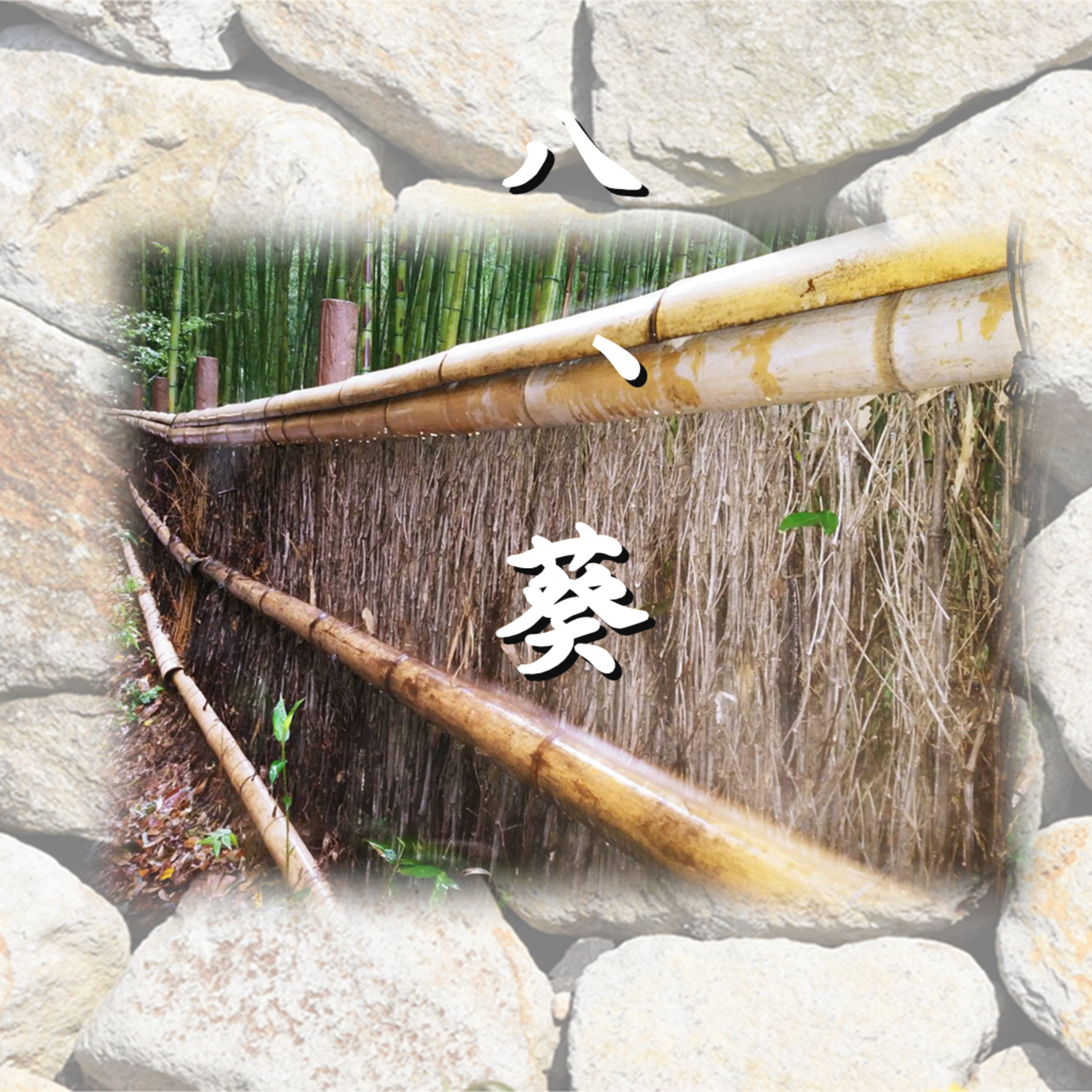 八、葵「光源氏の一生」文・朗読　岸本久美子 episode artwork