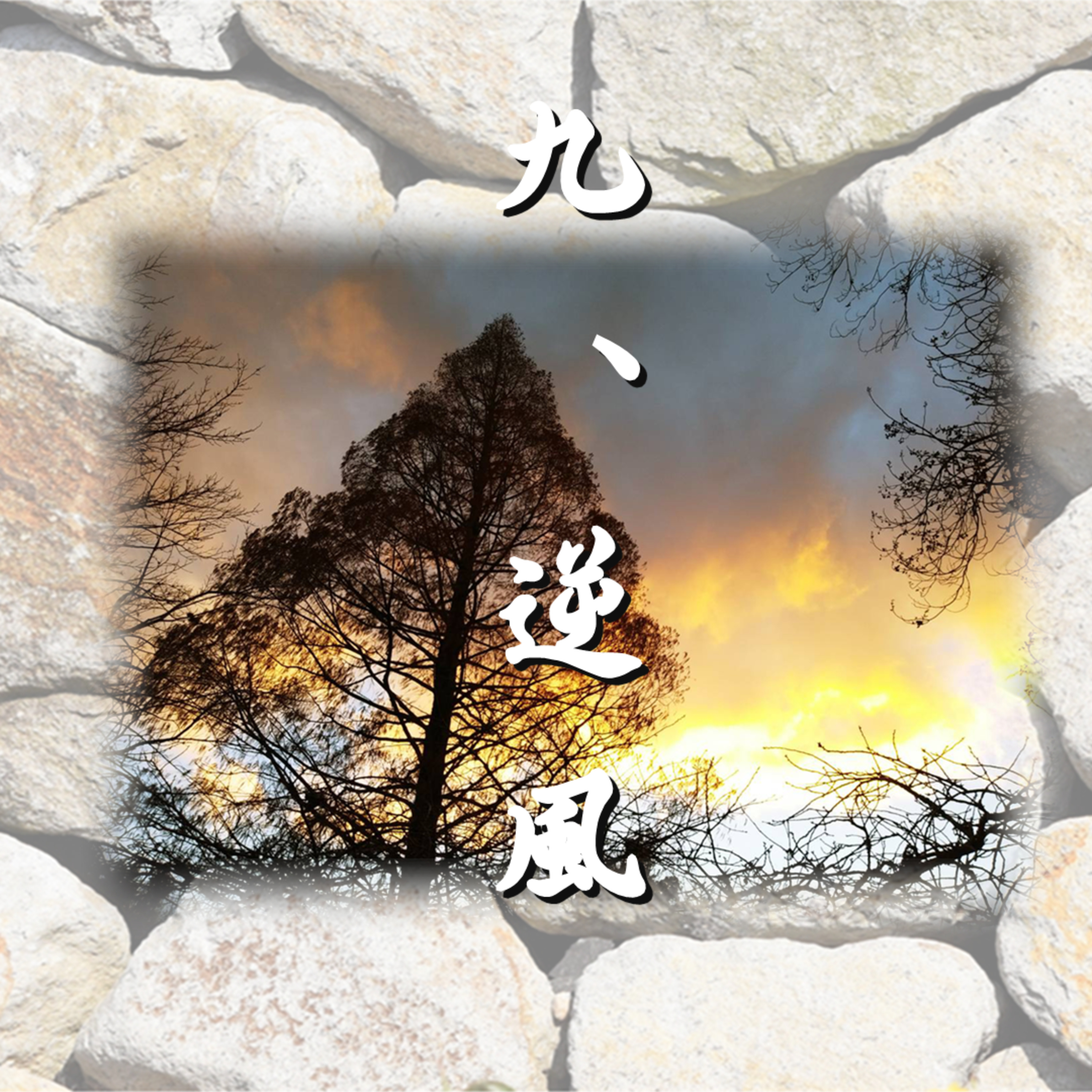 九、逆風「光源氏の一生」文・朗読　岸本久美子 episode artwork