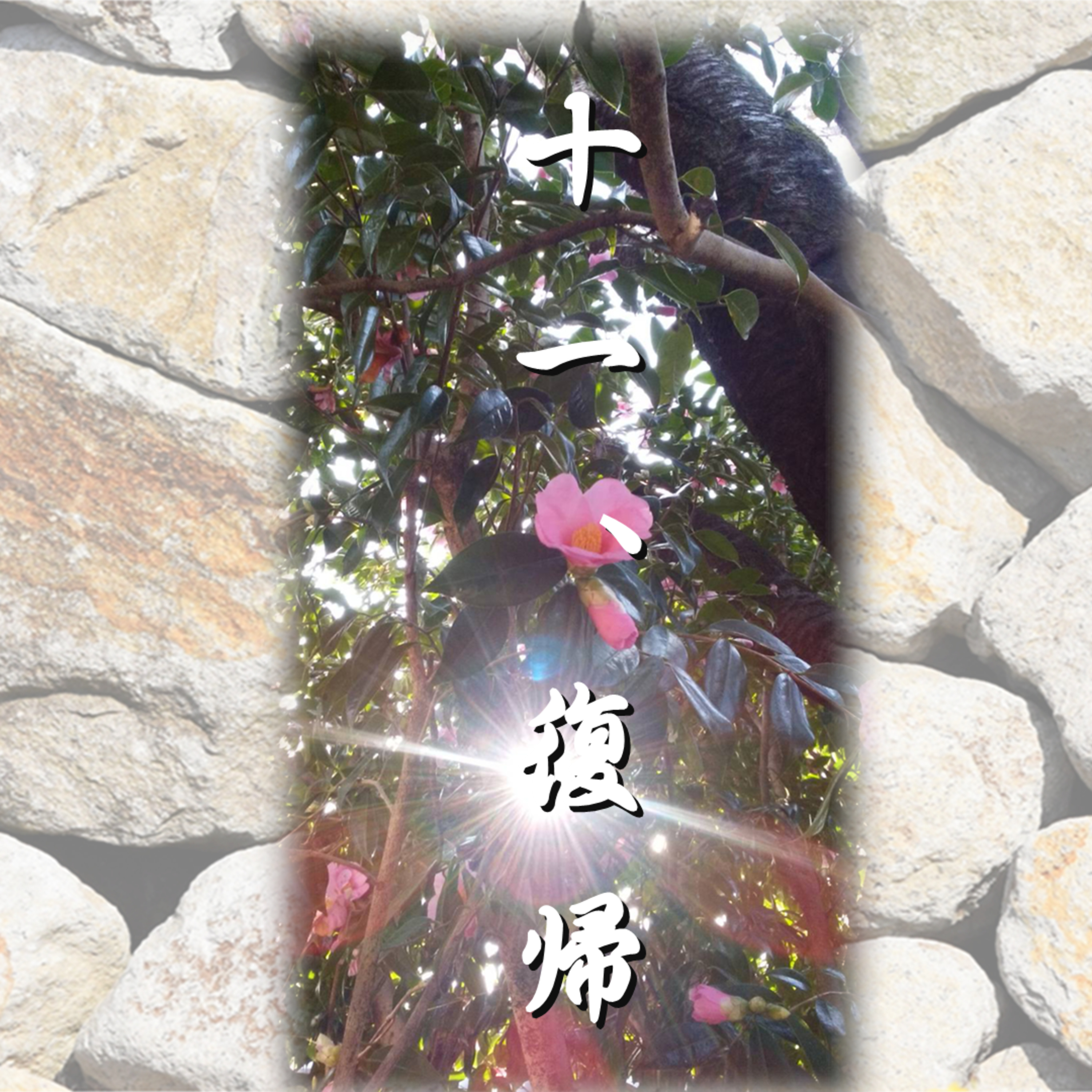 十一、復帰「光源氏の一生」文・朗読 岸本久美子 episode artwork