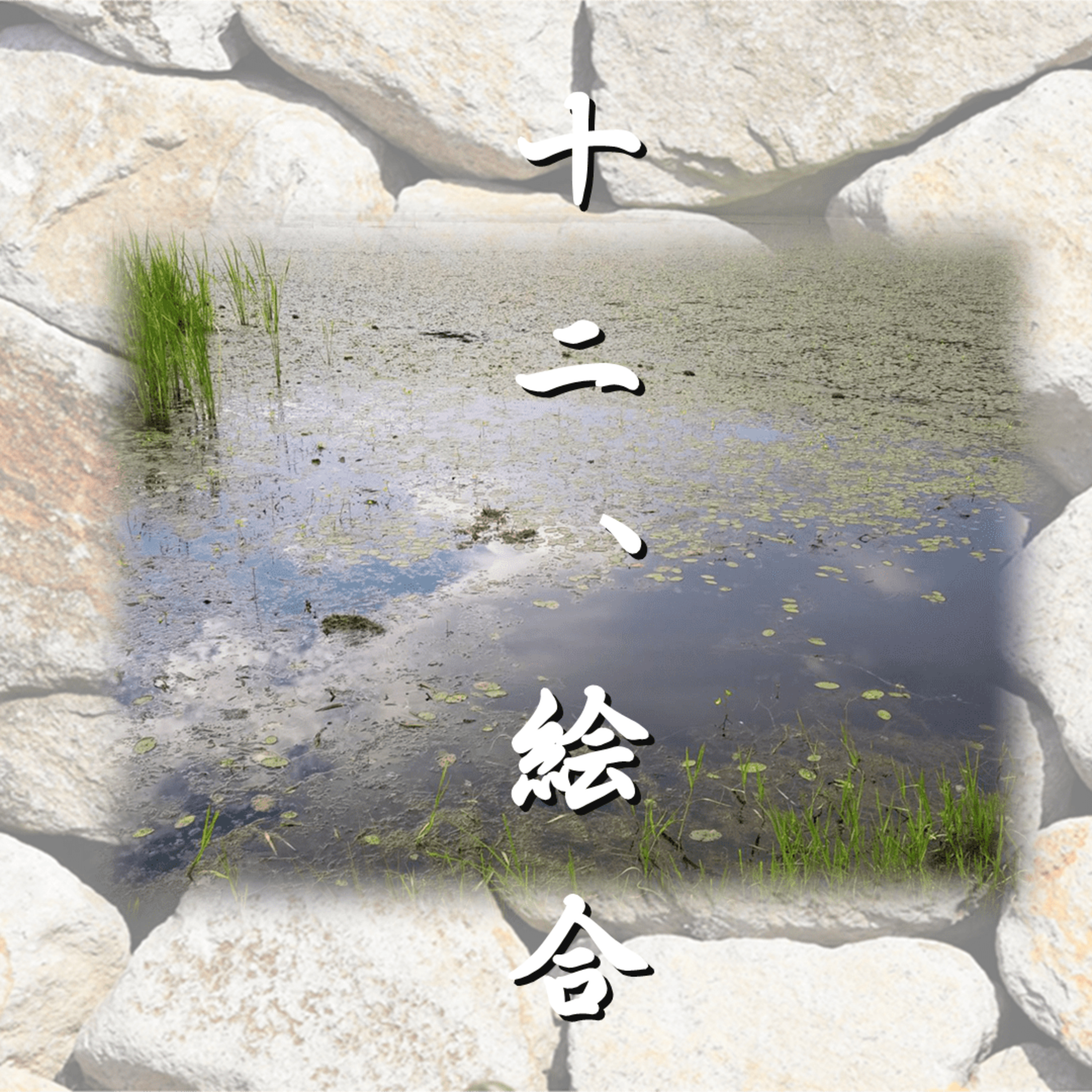 十二、絵合「光源氏の一生」文・朗読 岸本久美子 episode artwork
