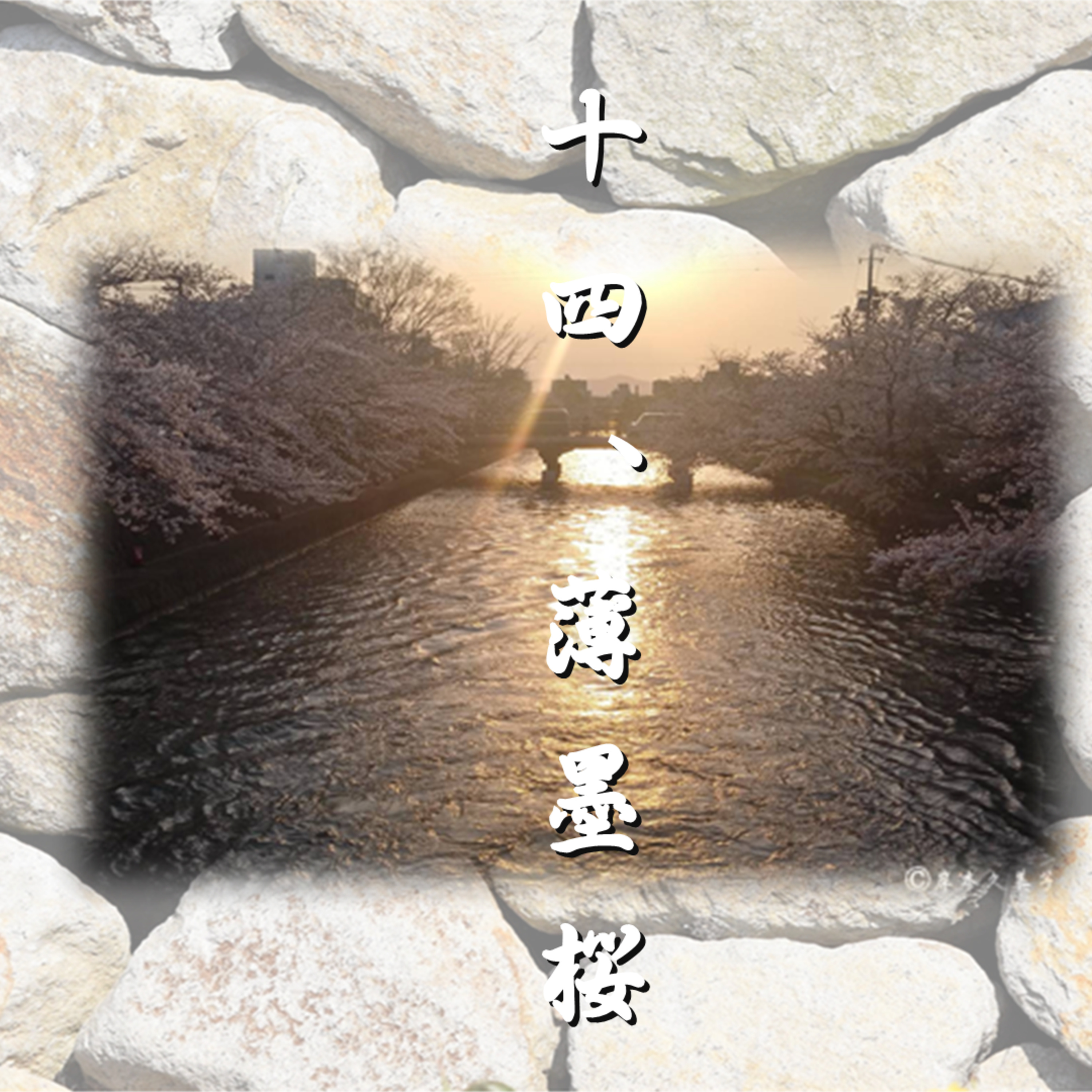 十四、薄墨桜「光源氏の一生」文・朗読 岸本久美子 episode artwork