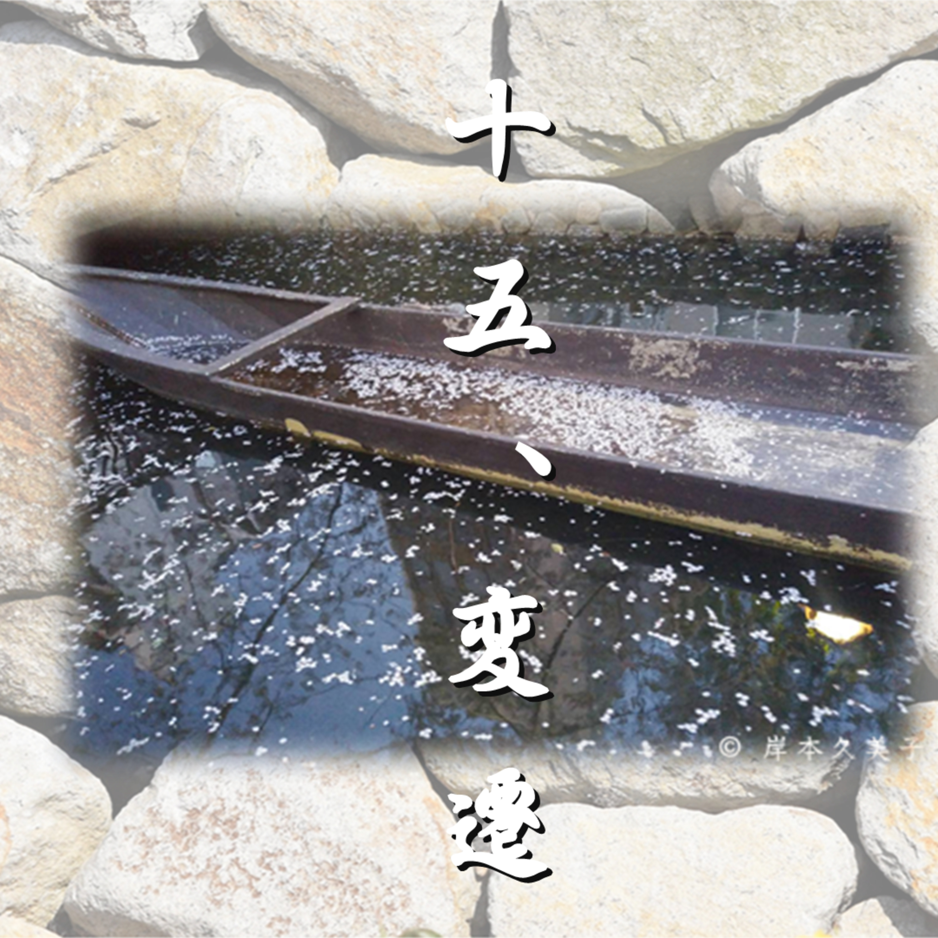 十五、変遷「光源氏の一生」文・朗読 岸本久美子 episode artwork