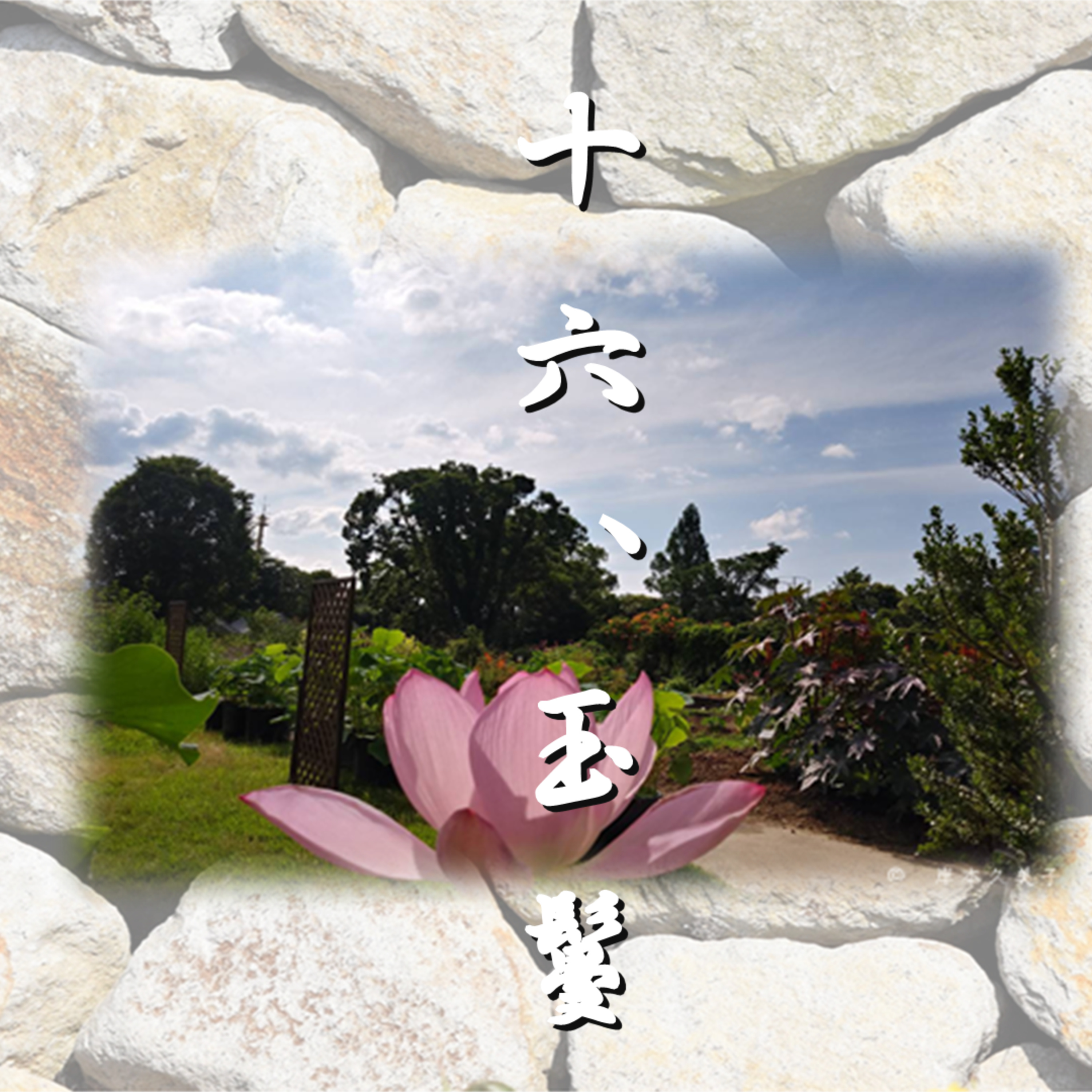 十六、玉鬘「光源氏の一生」文・朗読 岸本久美子 episode artwork