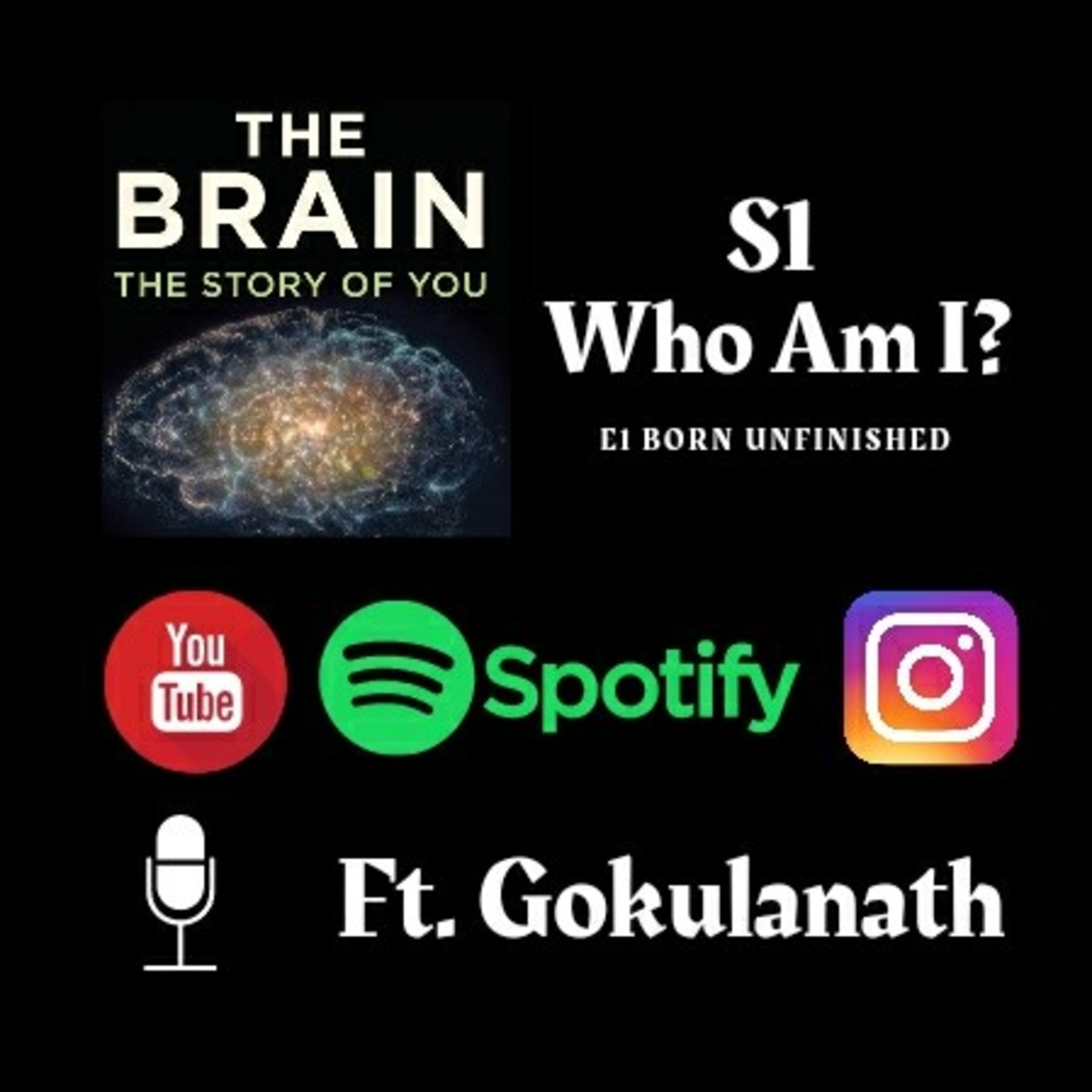 The Brain : S1 - Who Am I? E1 - Born Unfinished Ft. Gokulanath episode artwork