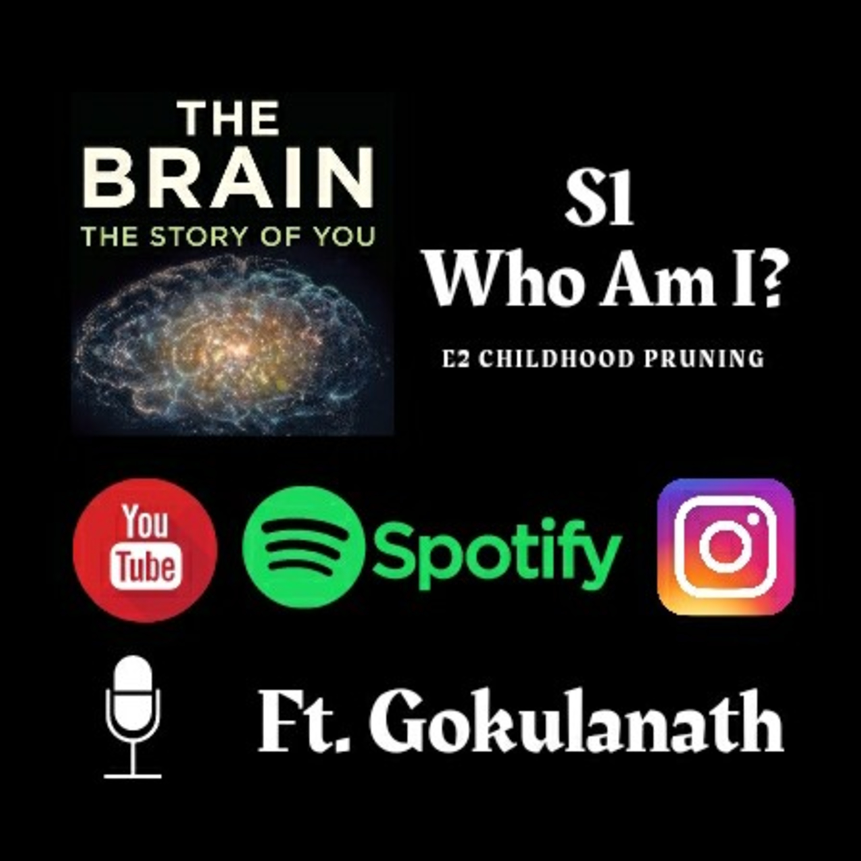 The Brain : S1 - Who Am I? E2 - Childhood Pruning Ft. Gokulanath episode artwork