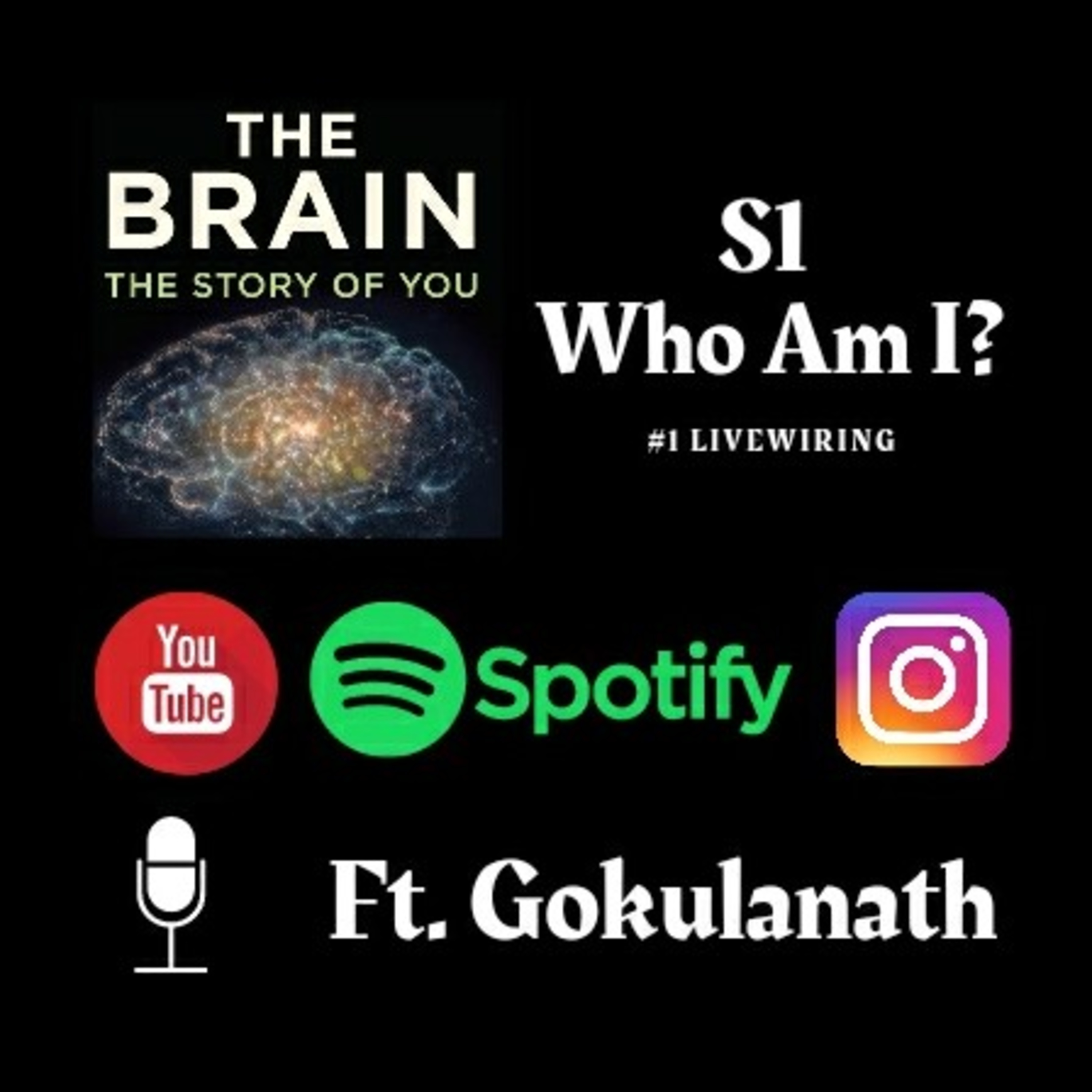 The Brain : S1 - Who Am I? #1 Livewiring Ft. Gokulanath episode artwork