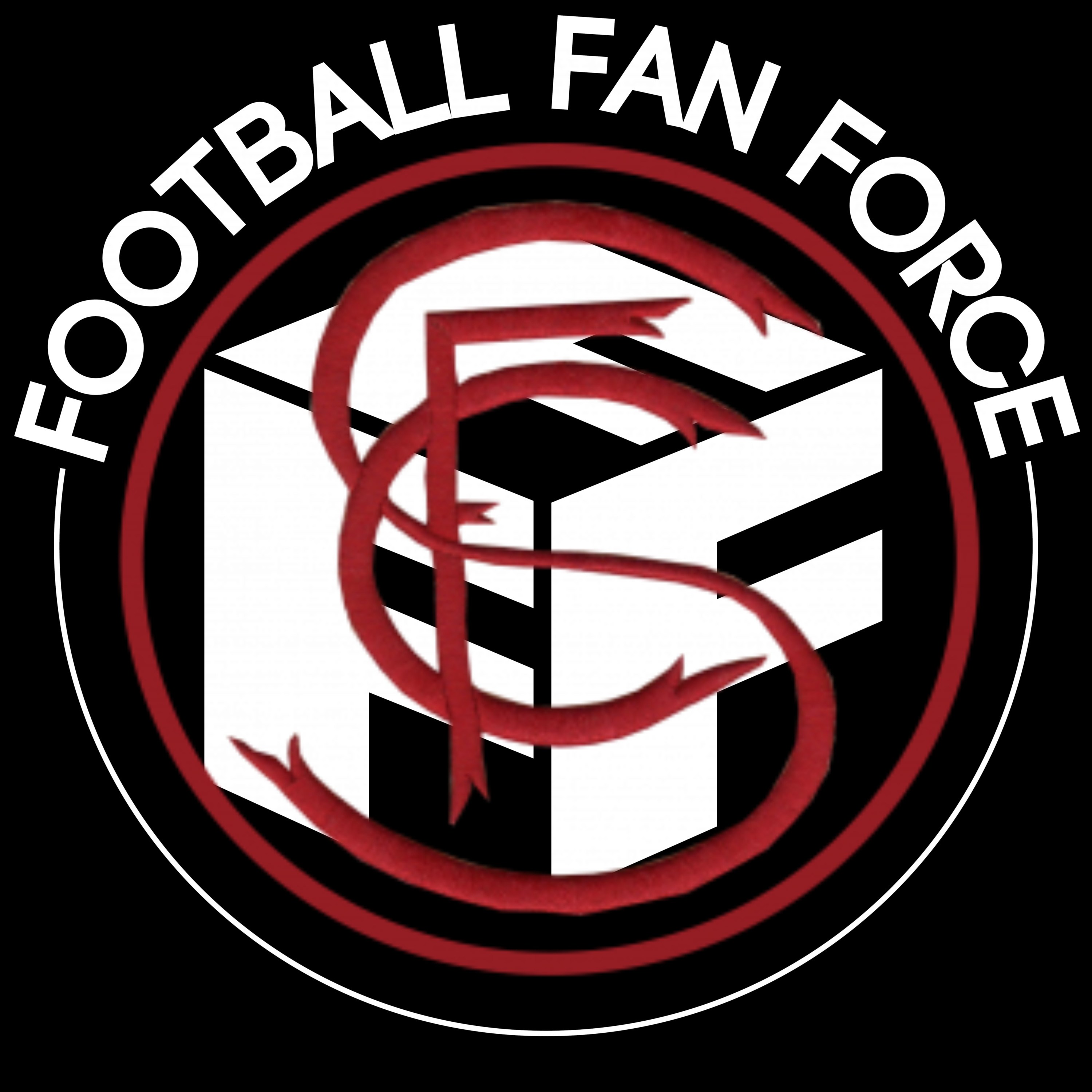 The Football Fan Force