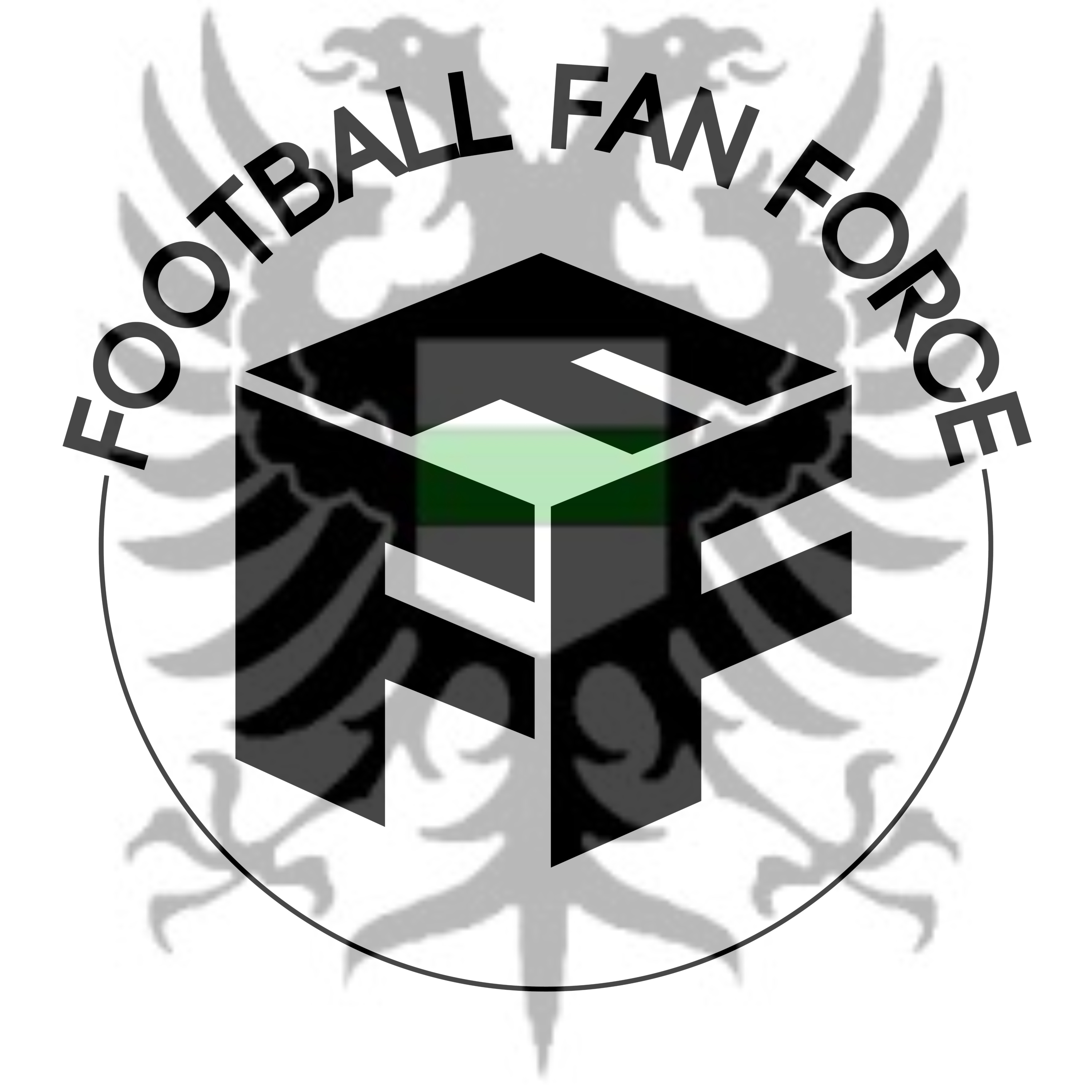 The Football Fan Force