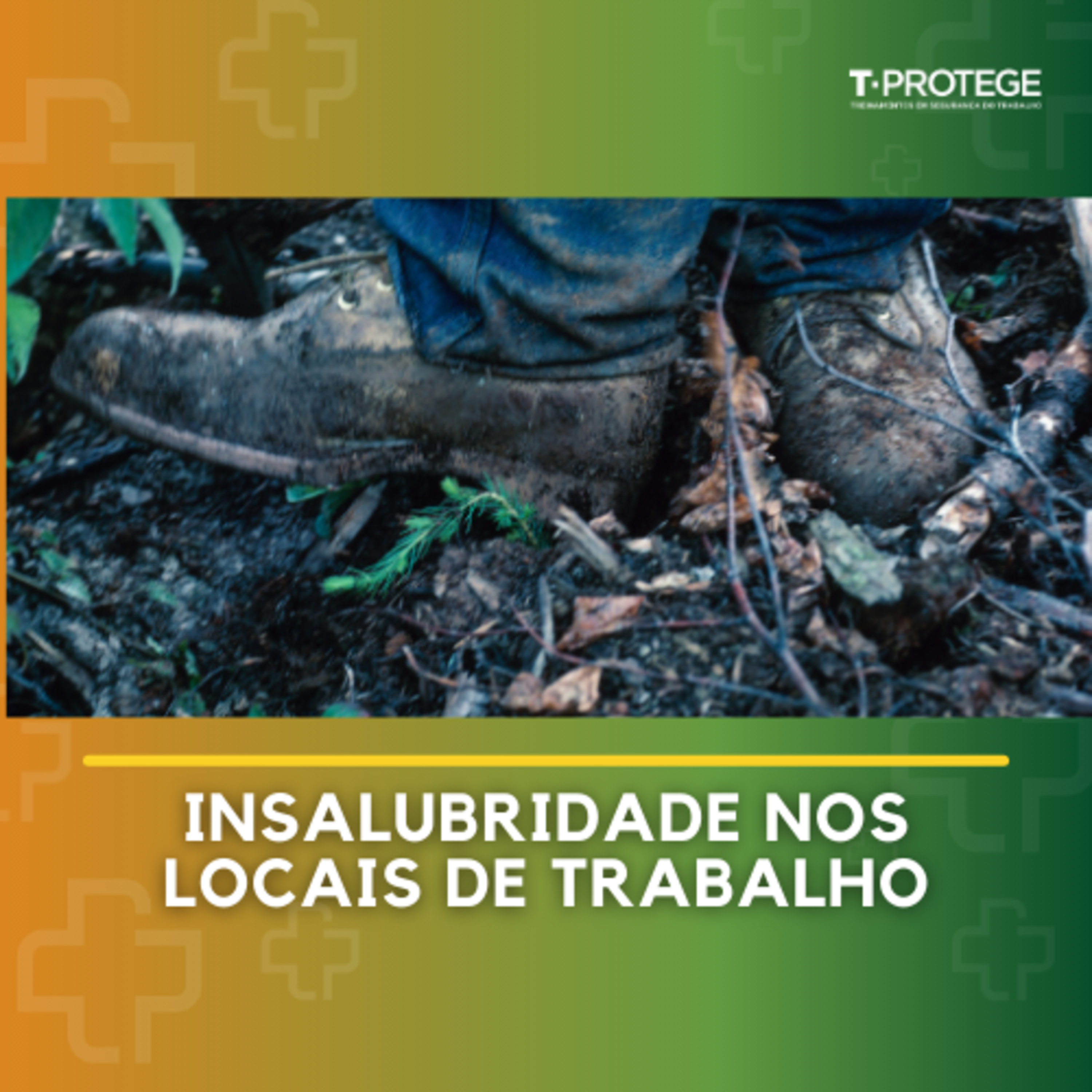 Ponto de encontro SST