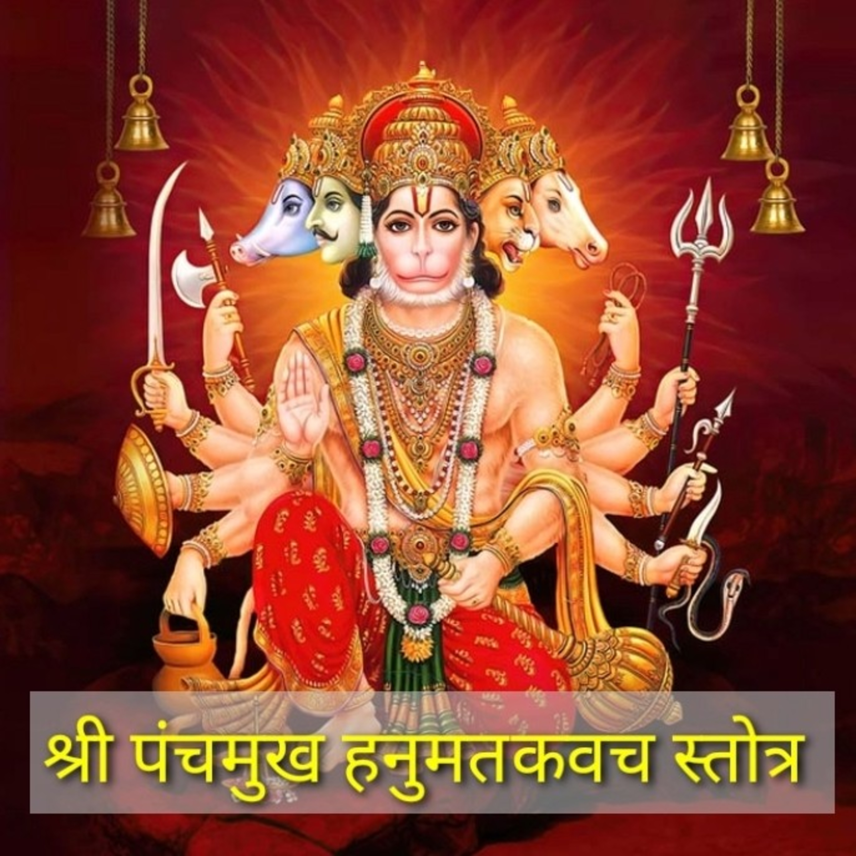 DivyaVani
