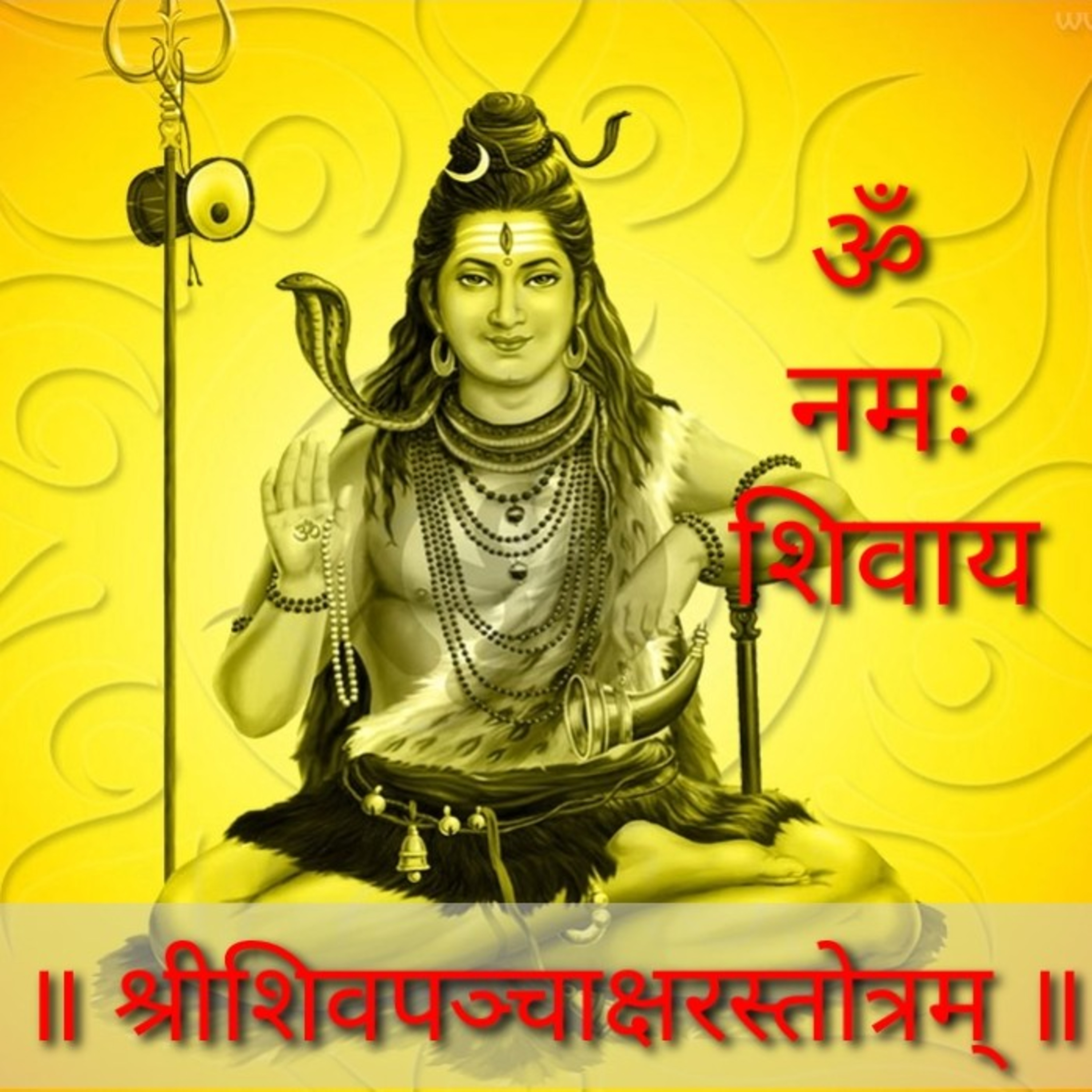DivyaVani