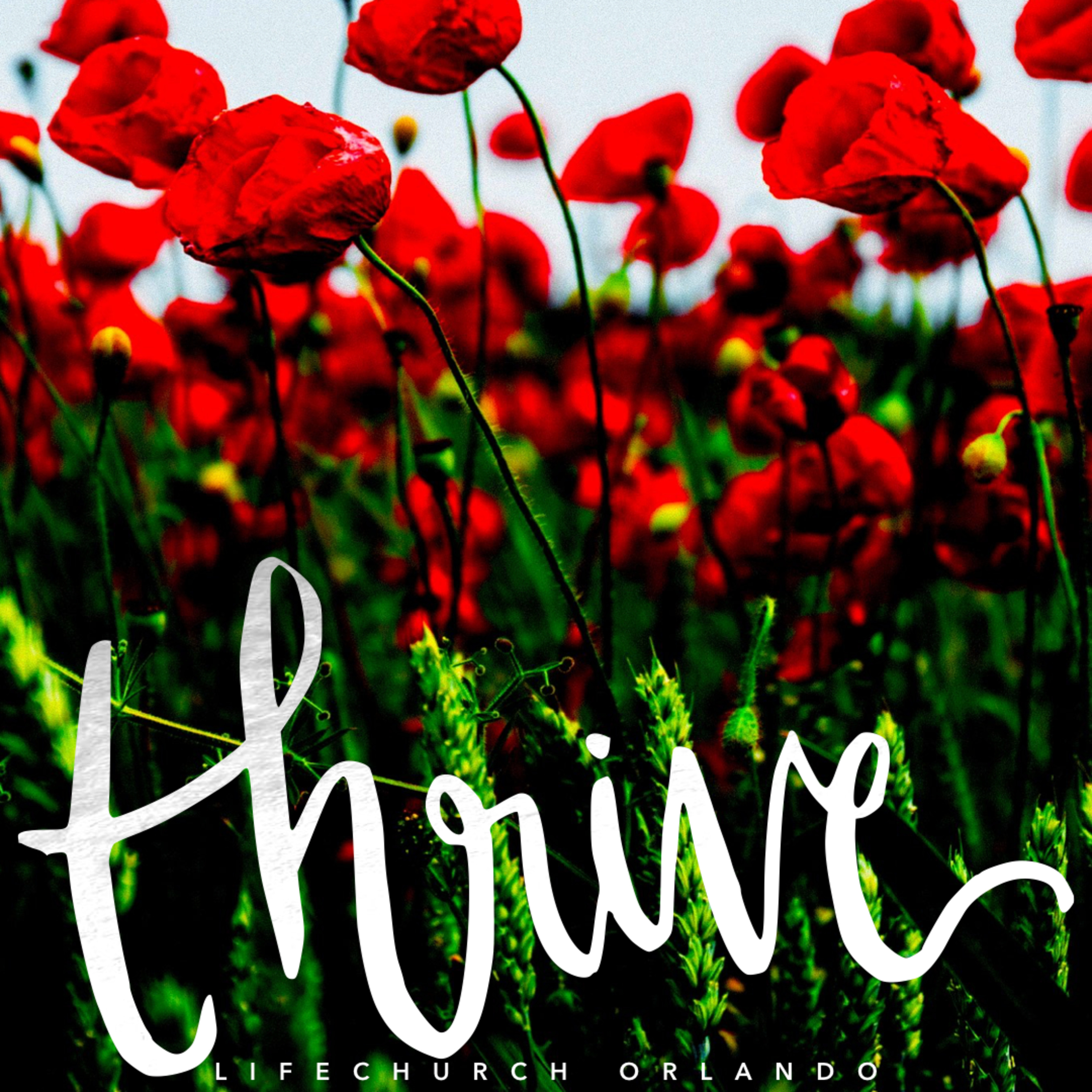 "Thrive" Part 1  with Pastor Chip Kelly  episode artwork