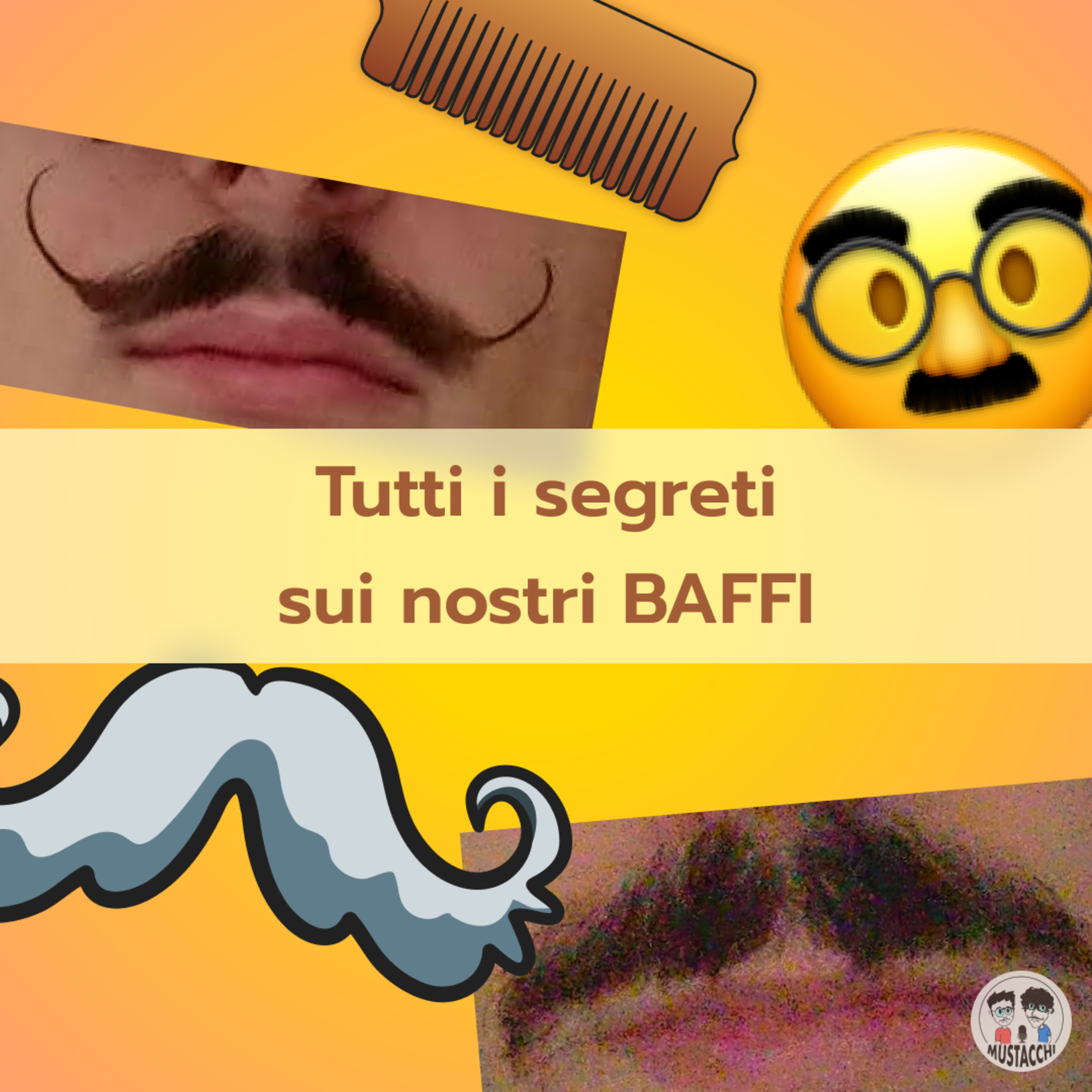 Mustacchi