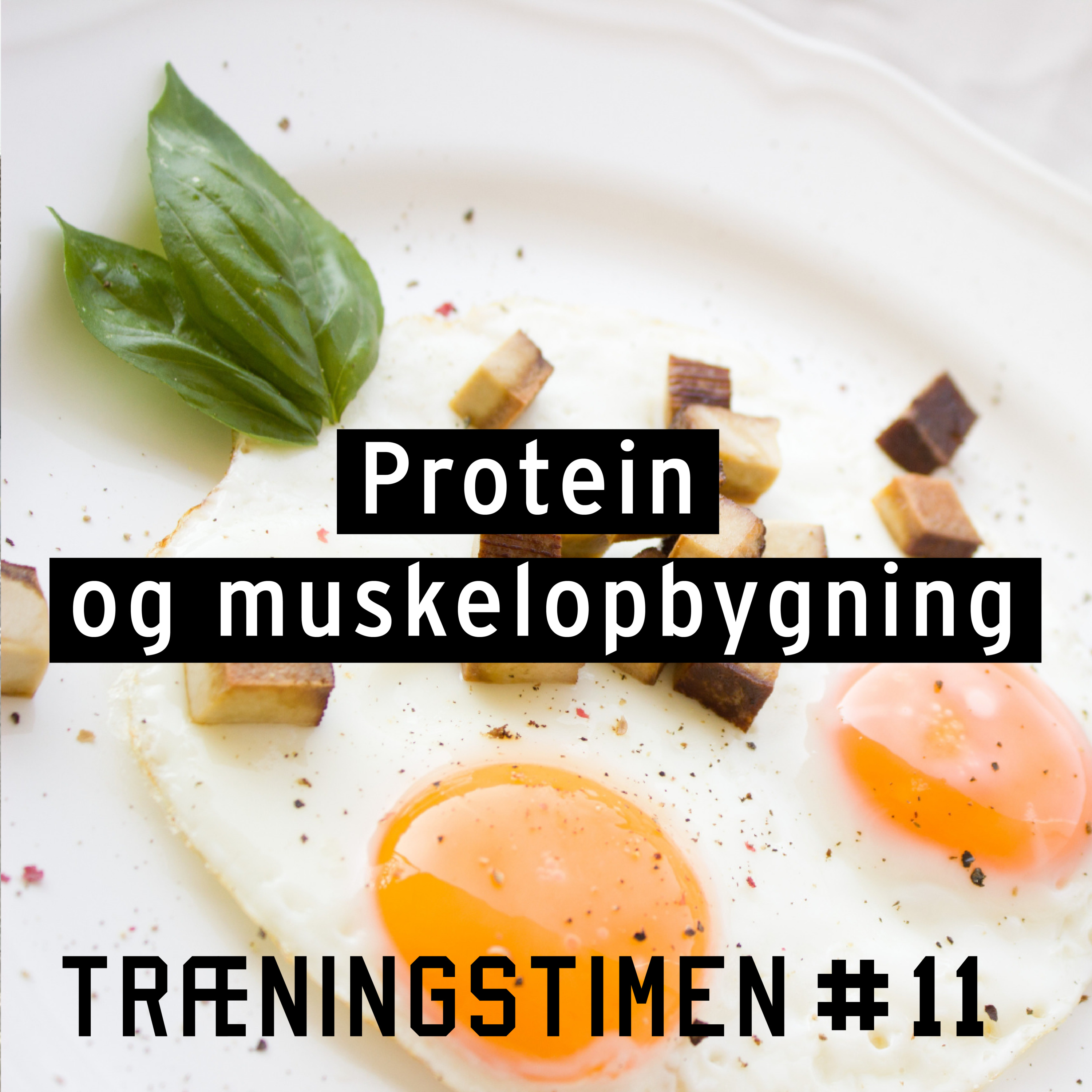 Træningstimen