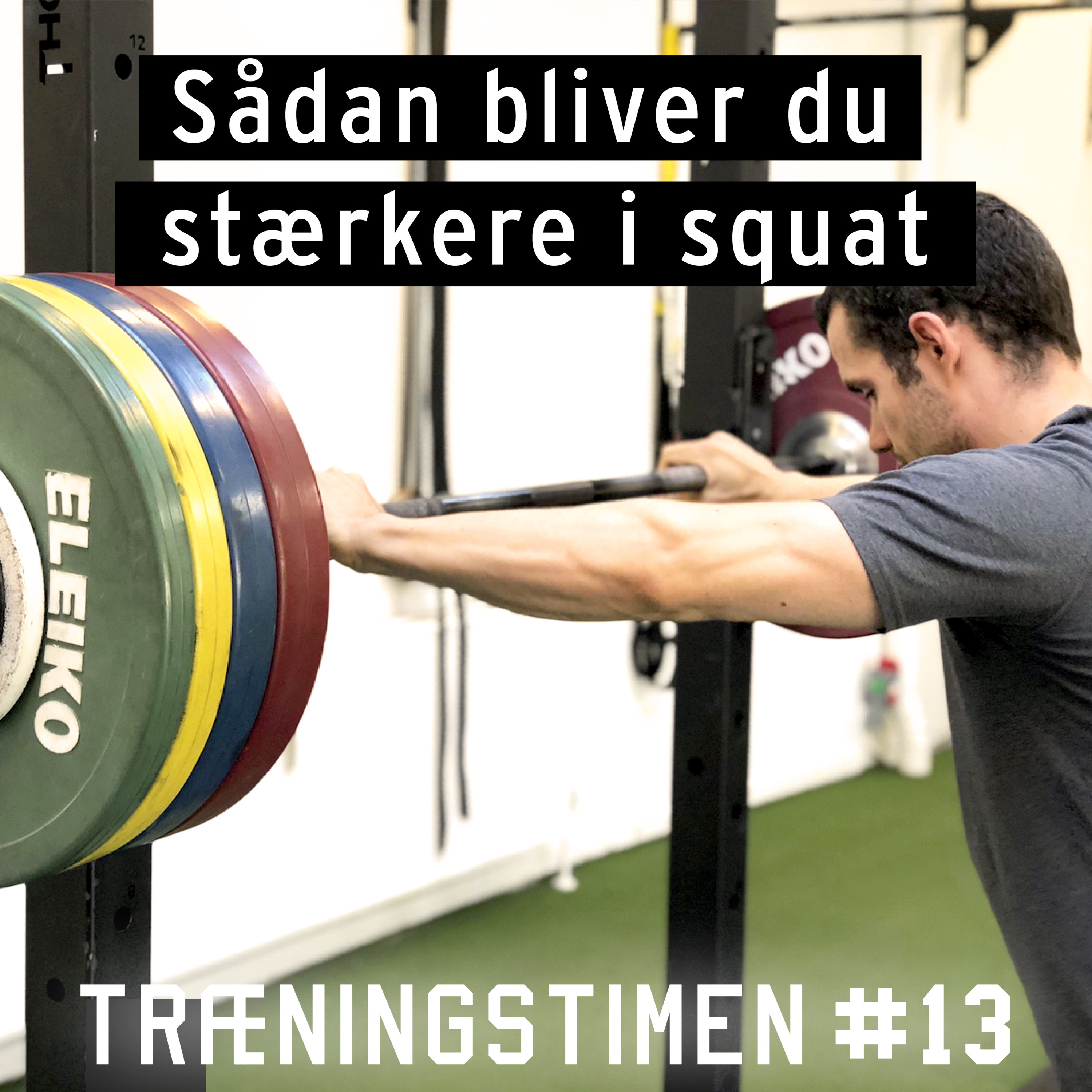 Træningstimen