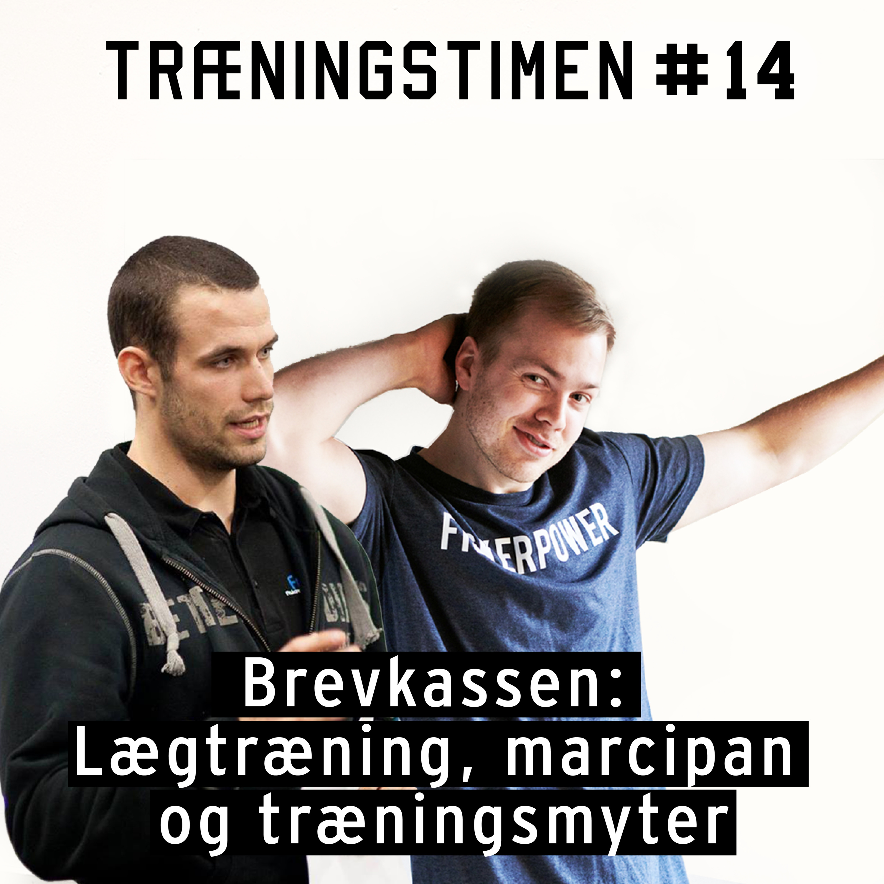 Træningstimen