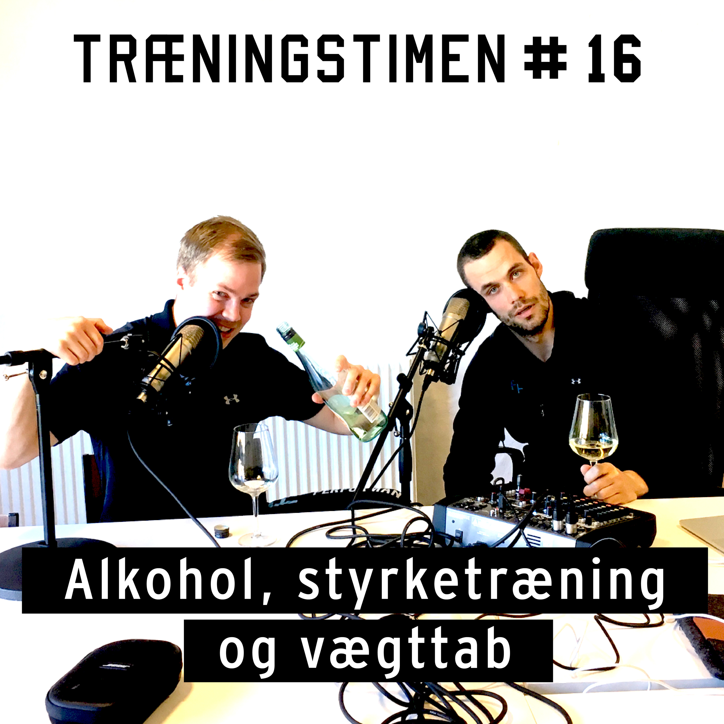 Træningstimen