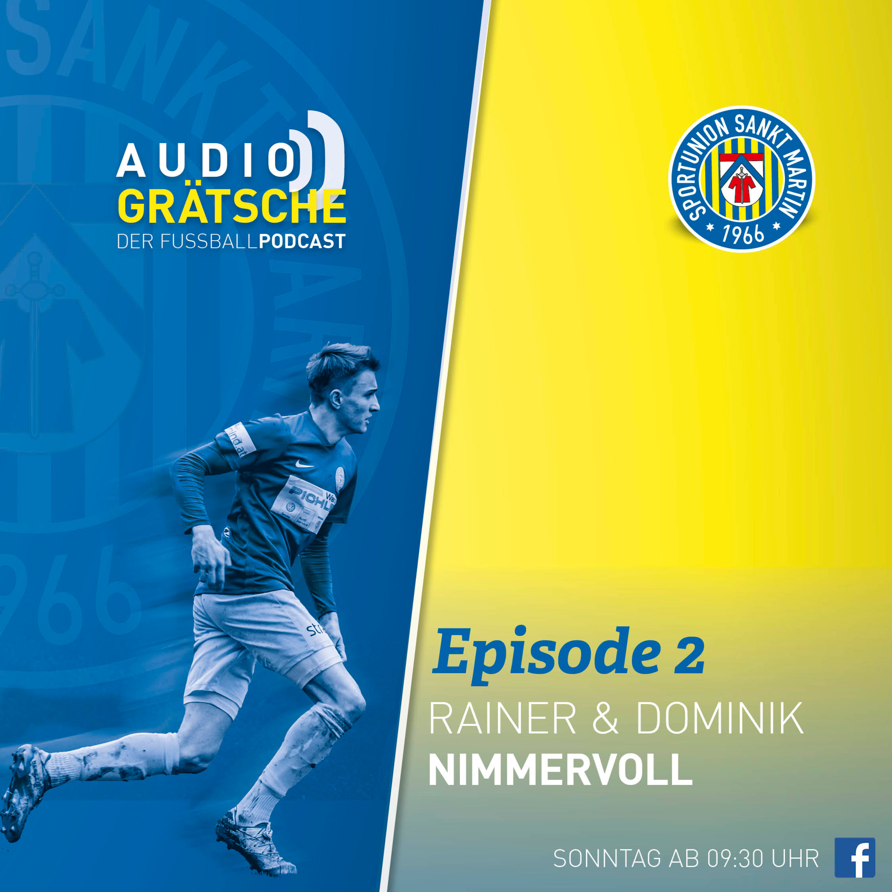 Audiogrätsche