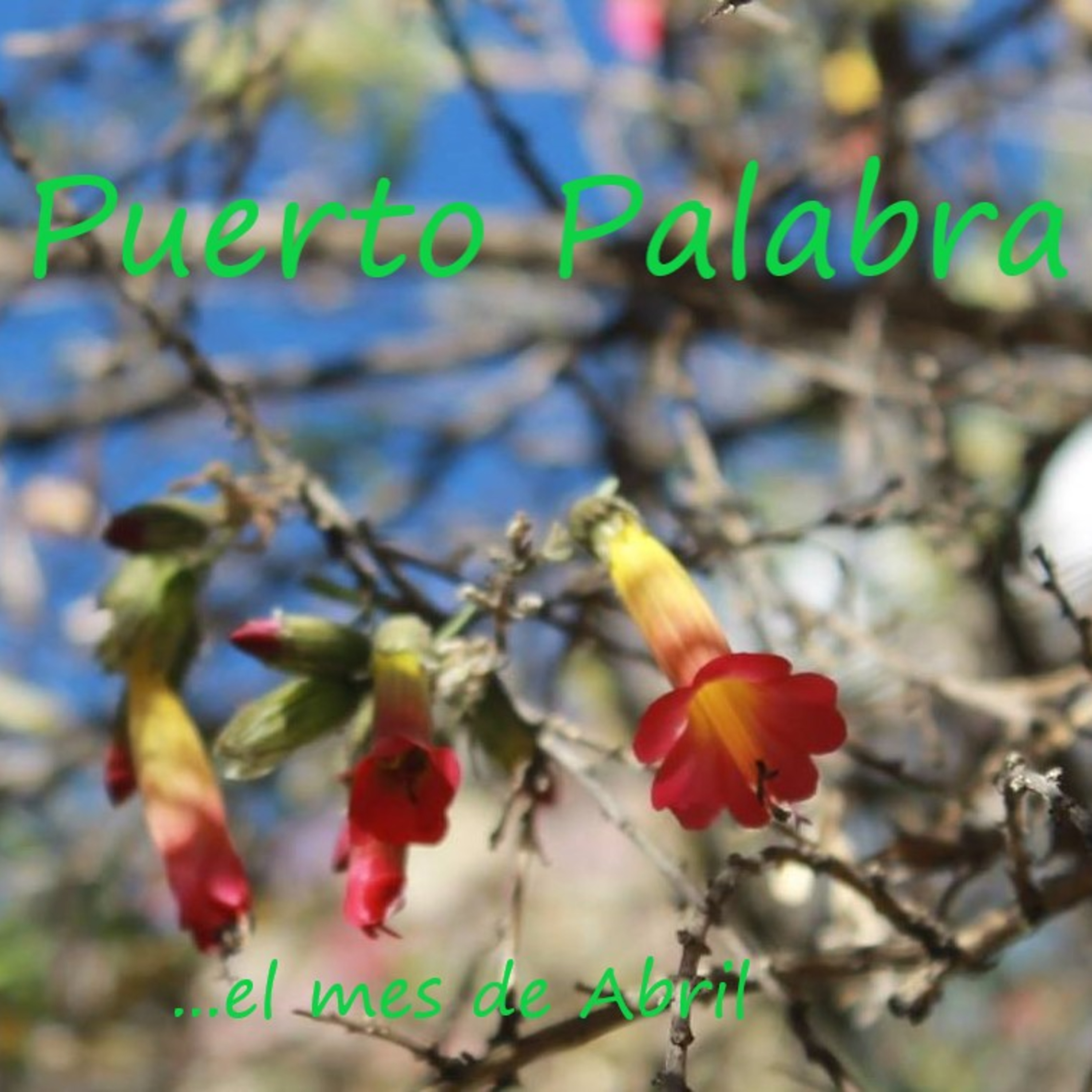PUERTO PALABRA