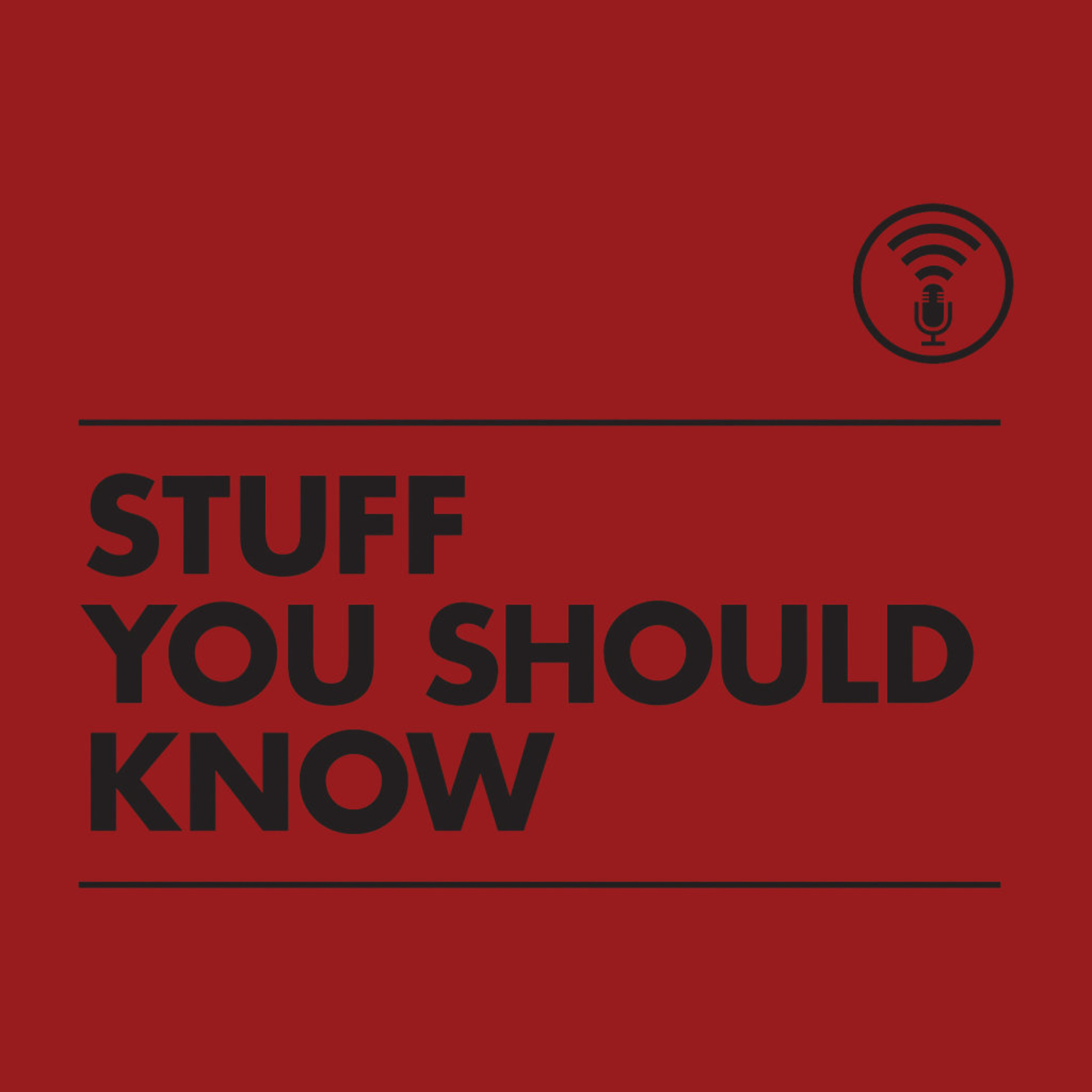 ROBINLYNNES PODCAST NETWORK
