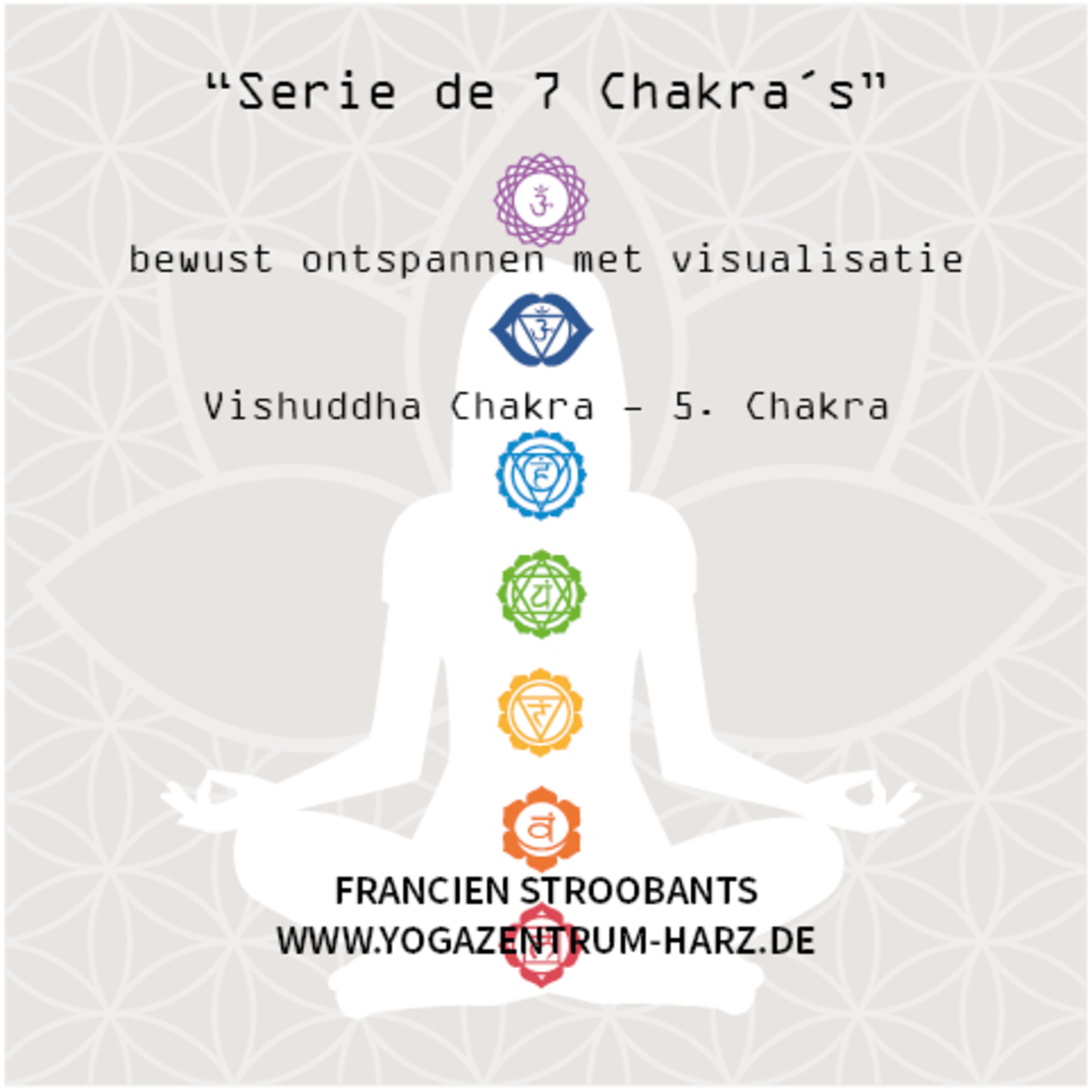 Vishuddha Chakra - 5. Chakra episode artwork