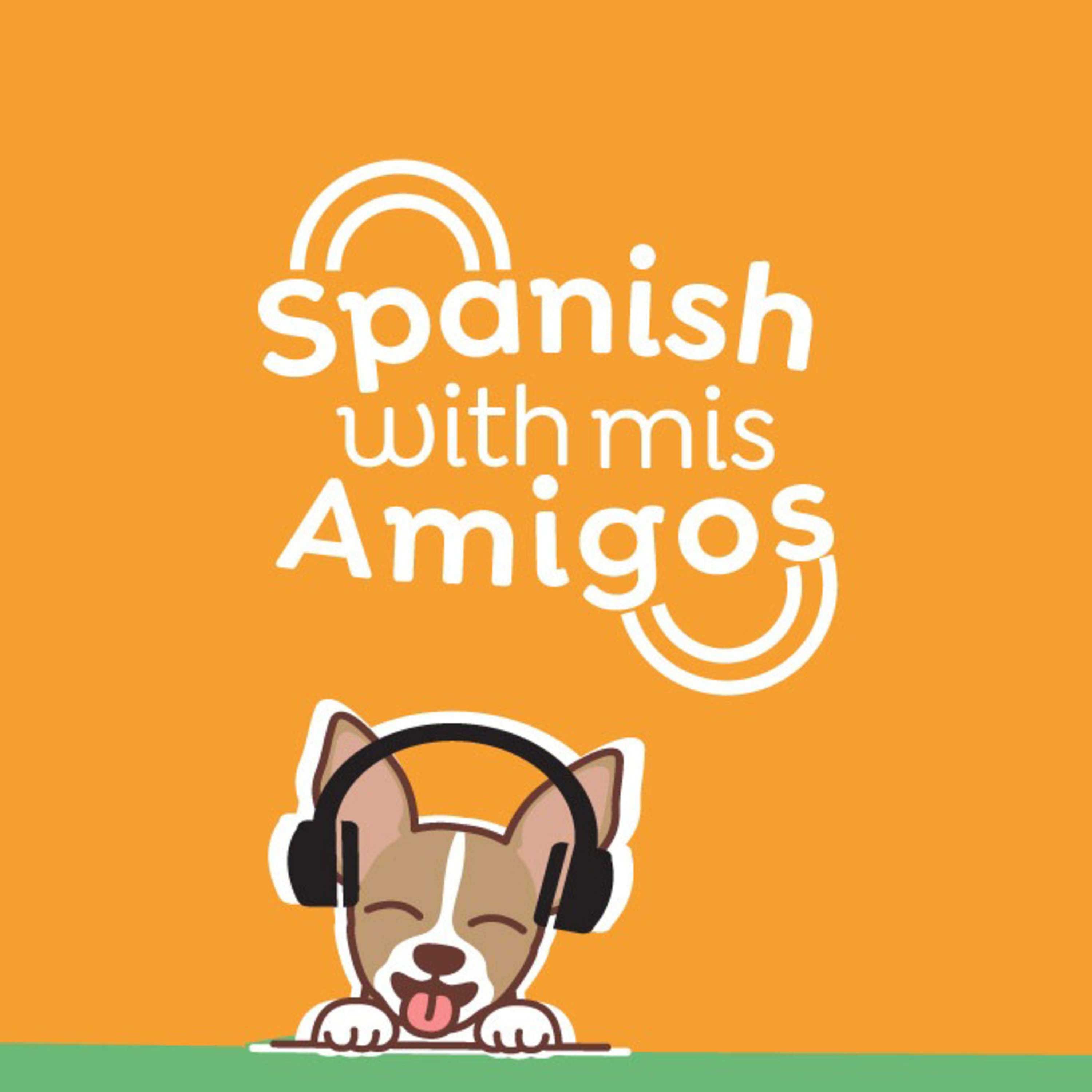 Spanish with Mis amigos (ser vs estar)