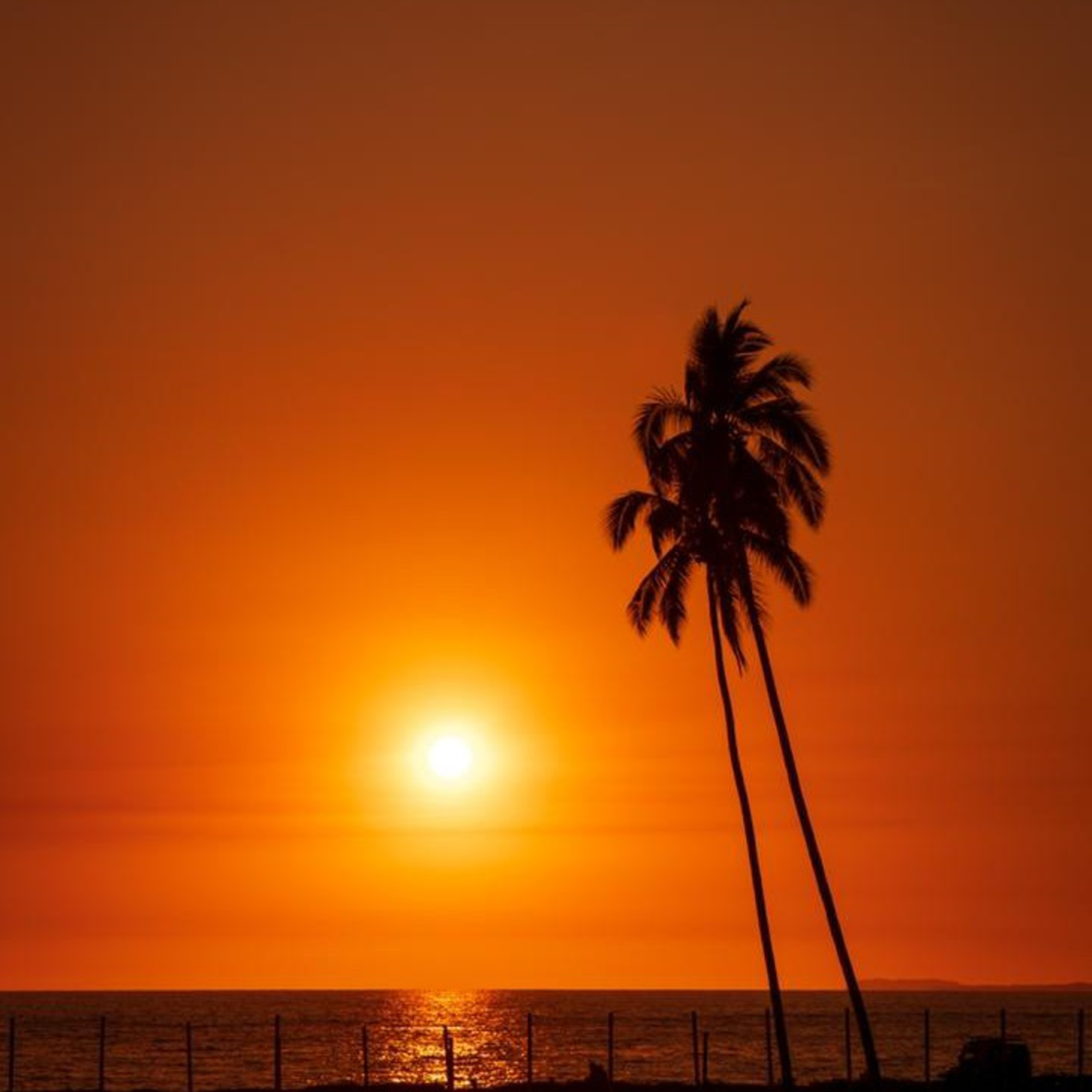 The Mellow Vibes Podcast