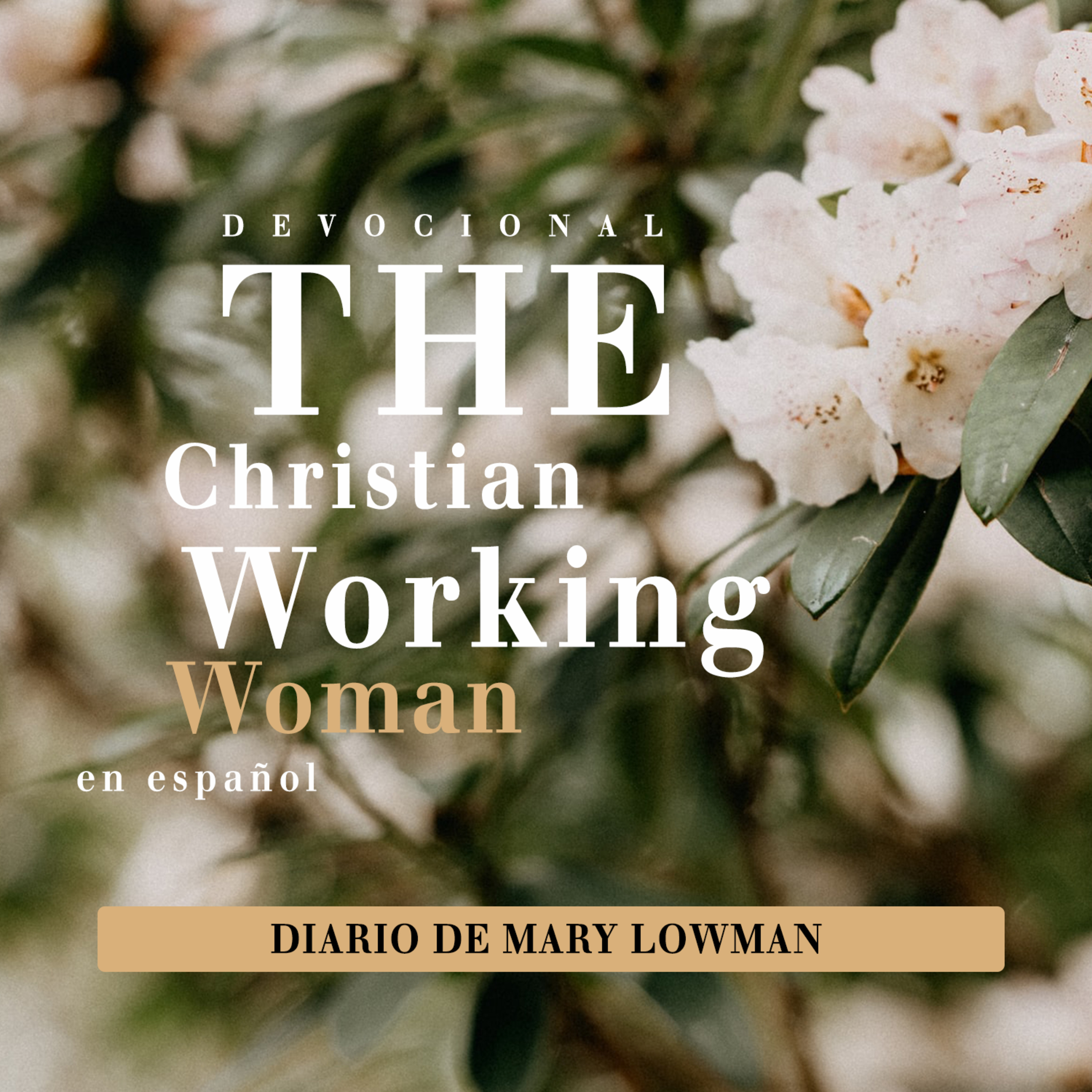 Portada de The Christian Working Woman en Español