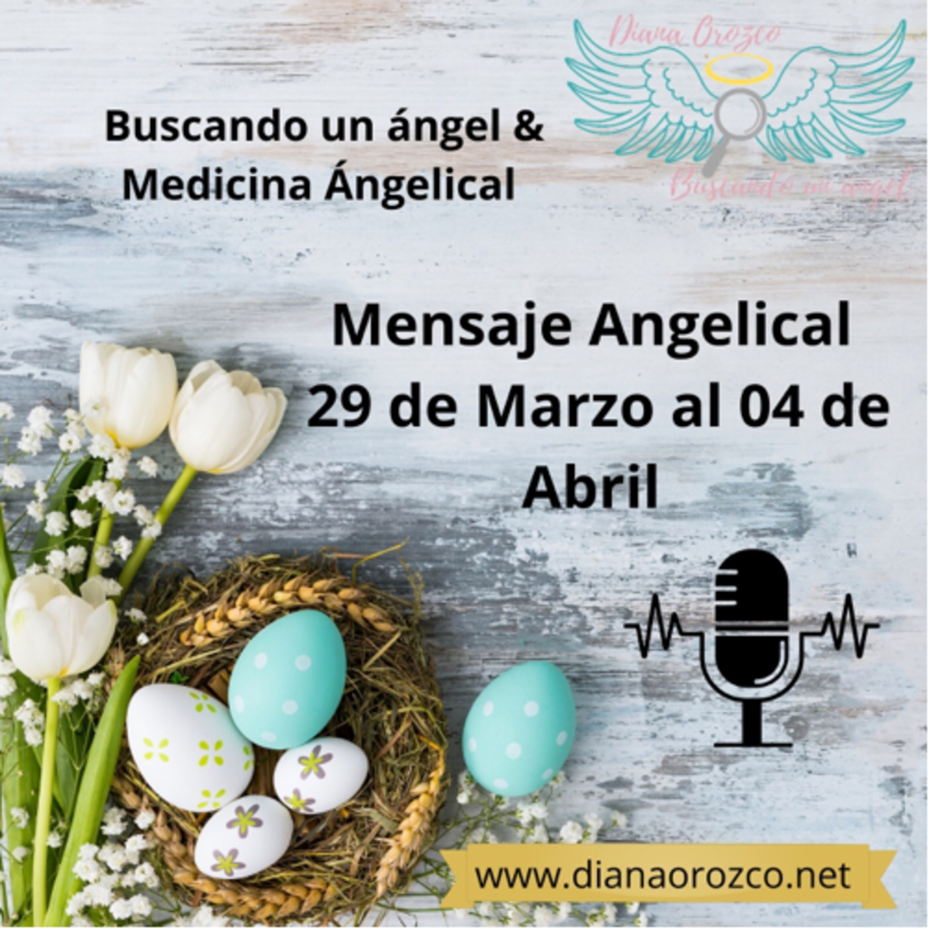 Portada de Medicina Angelical by Diana Orozco