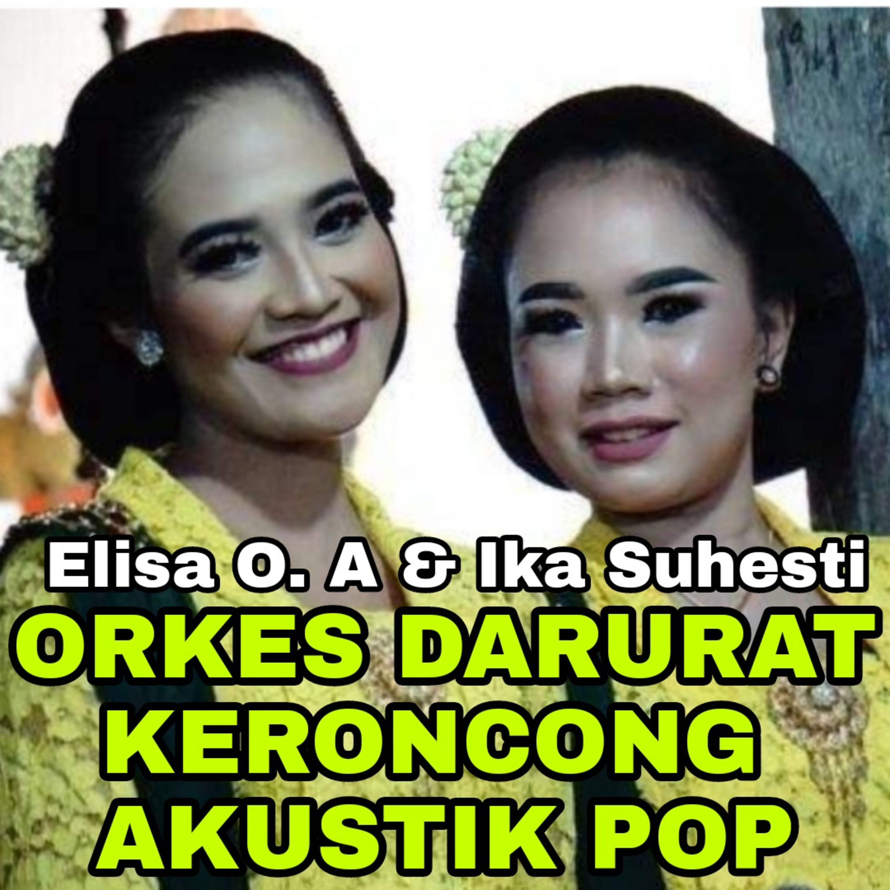 Wayangkulitku