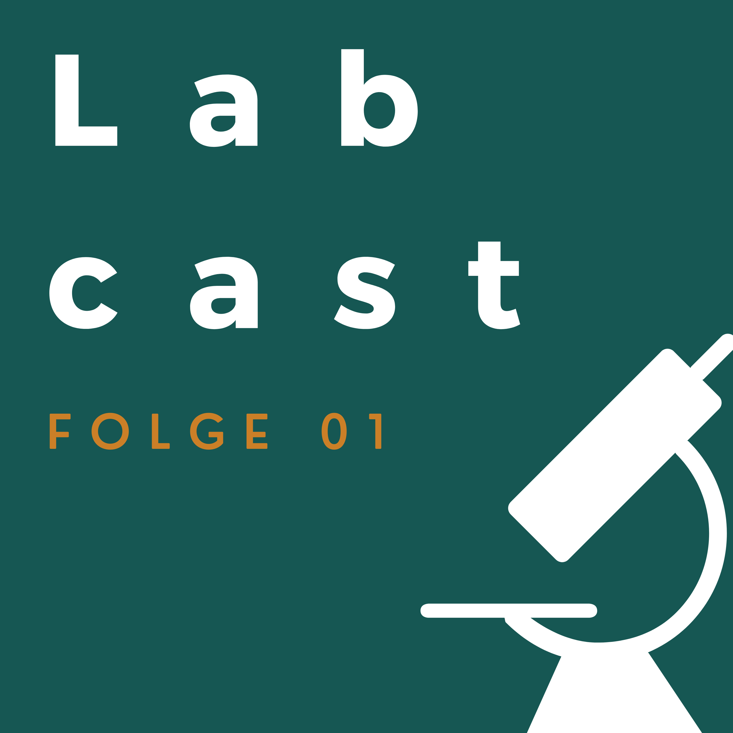 Folge 01 - Biofabrication und Bioprinting - Interview mit Dr. Tomasz Jüngst - 