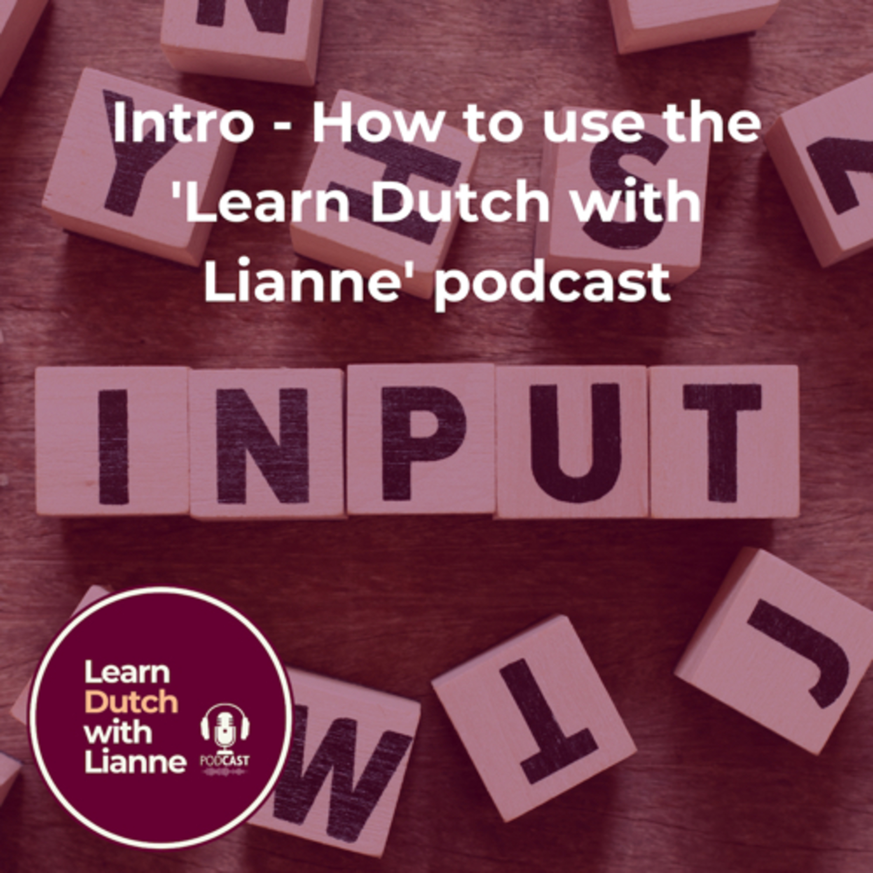Afl. 0 - Intro - How to use the 'Learn Dutch with Lianne' podcast episode artwork