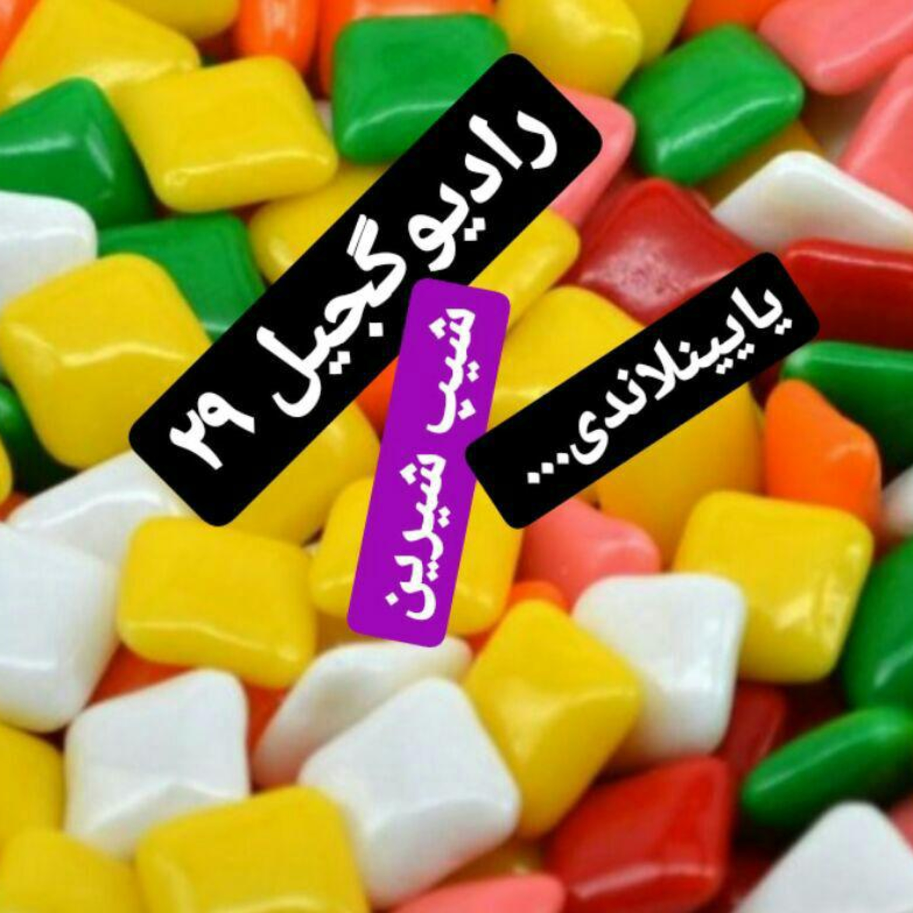 radiogajil