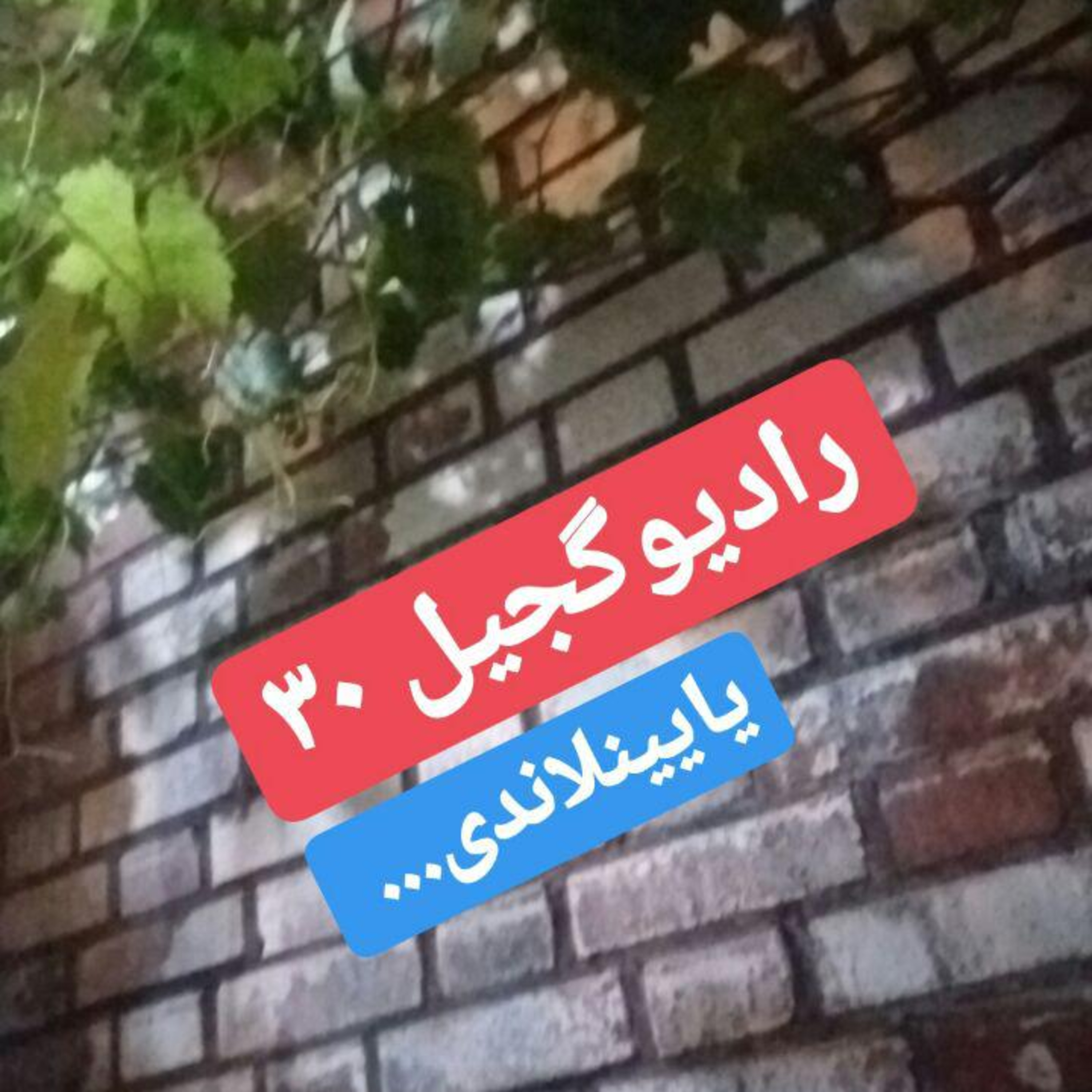 radiogajil
