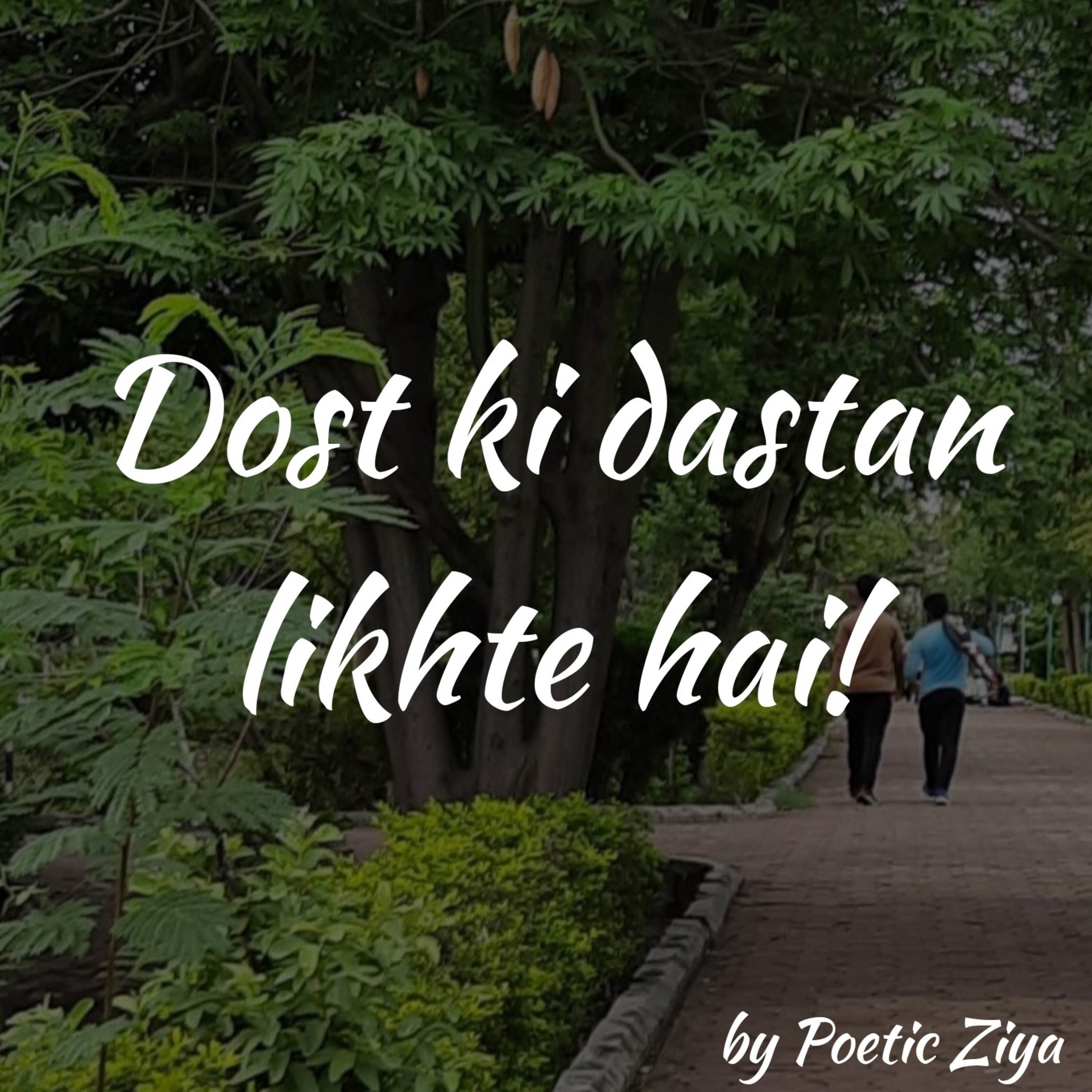 Poetic Ziya