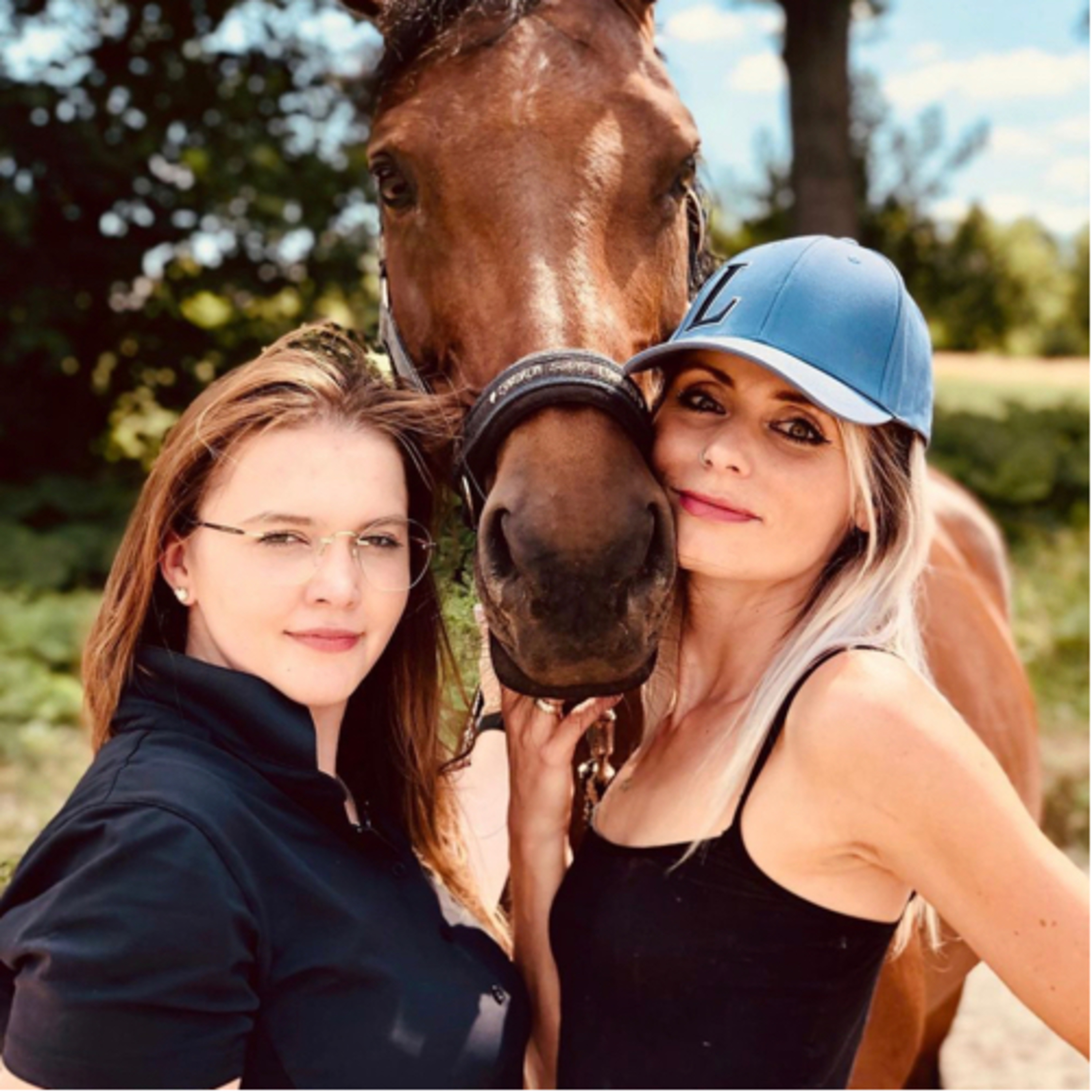 Reitsport und Netzgeschehen