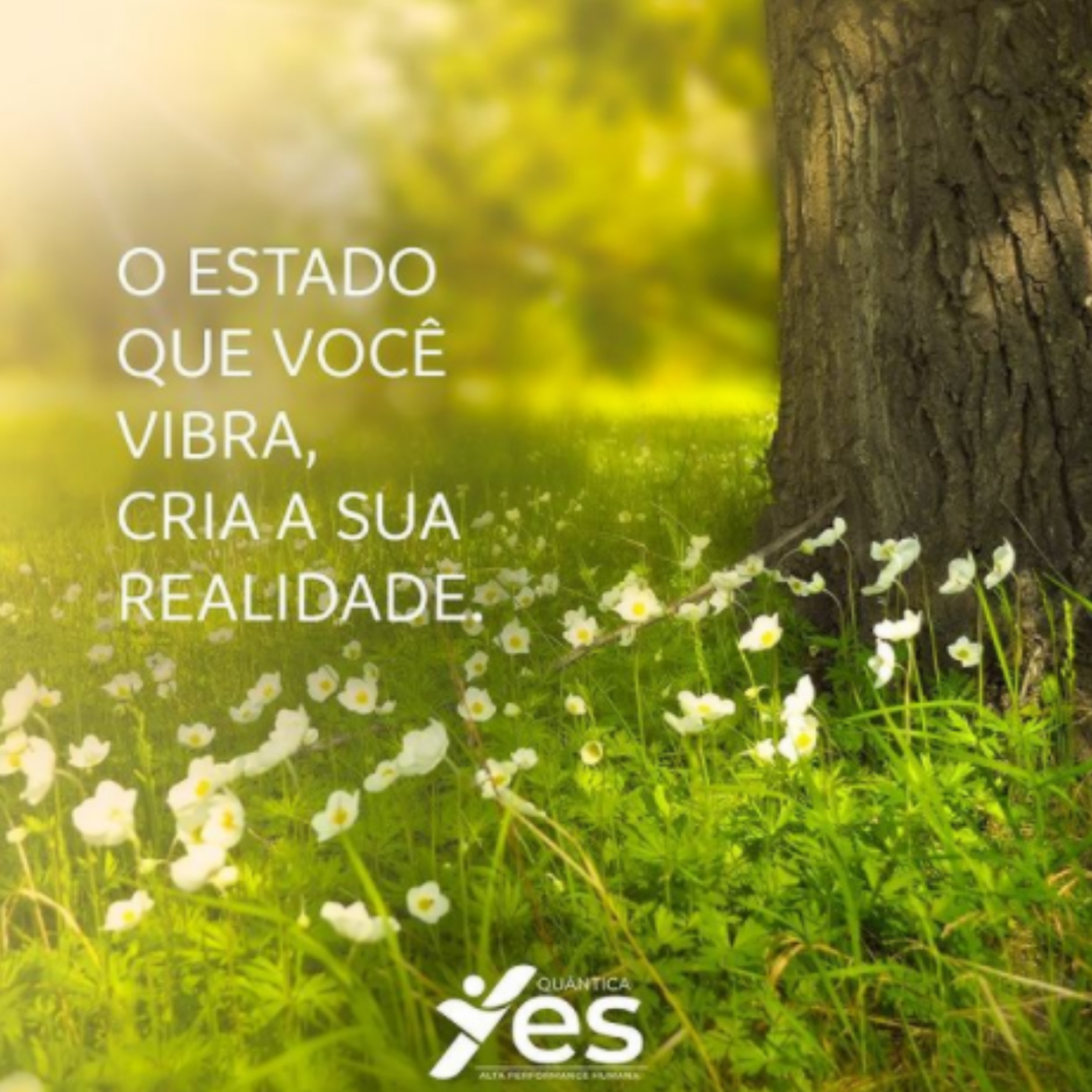 Yes Quântica Cast