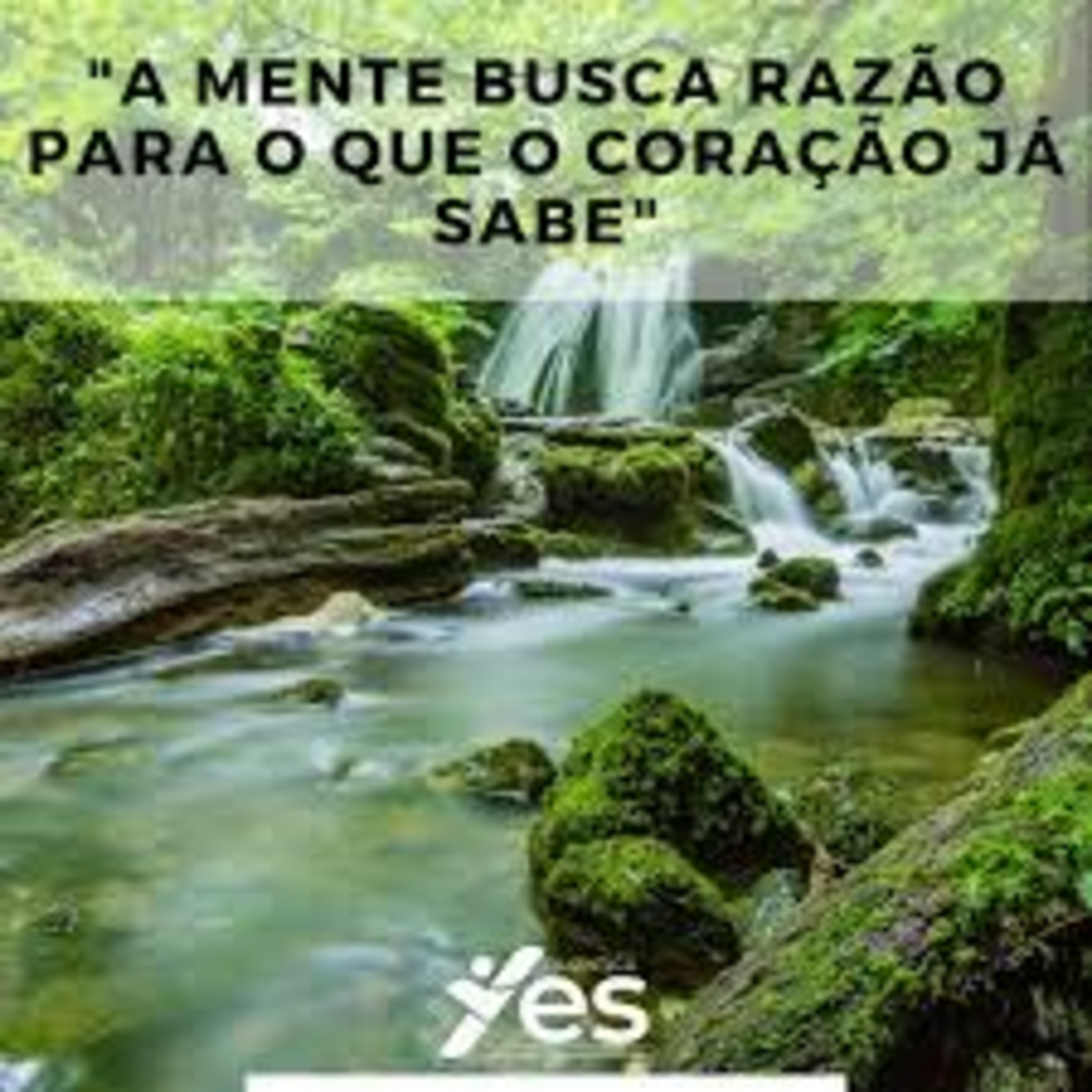 Yes Quântica Cast